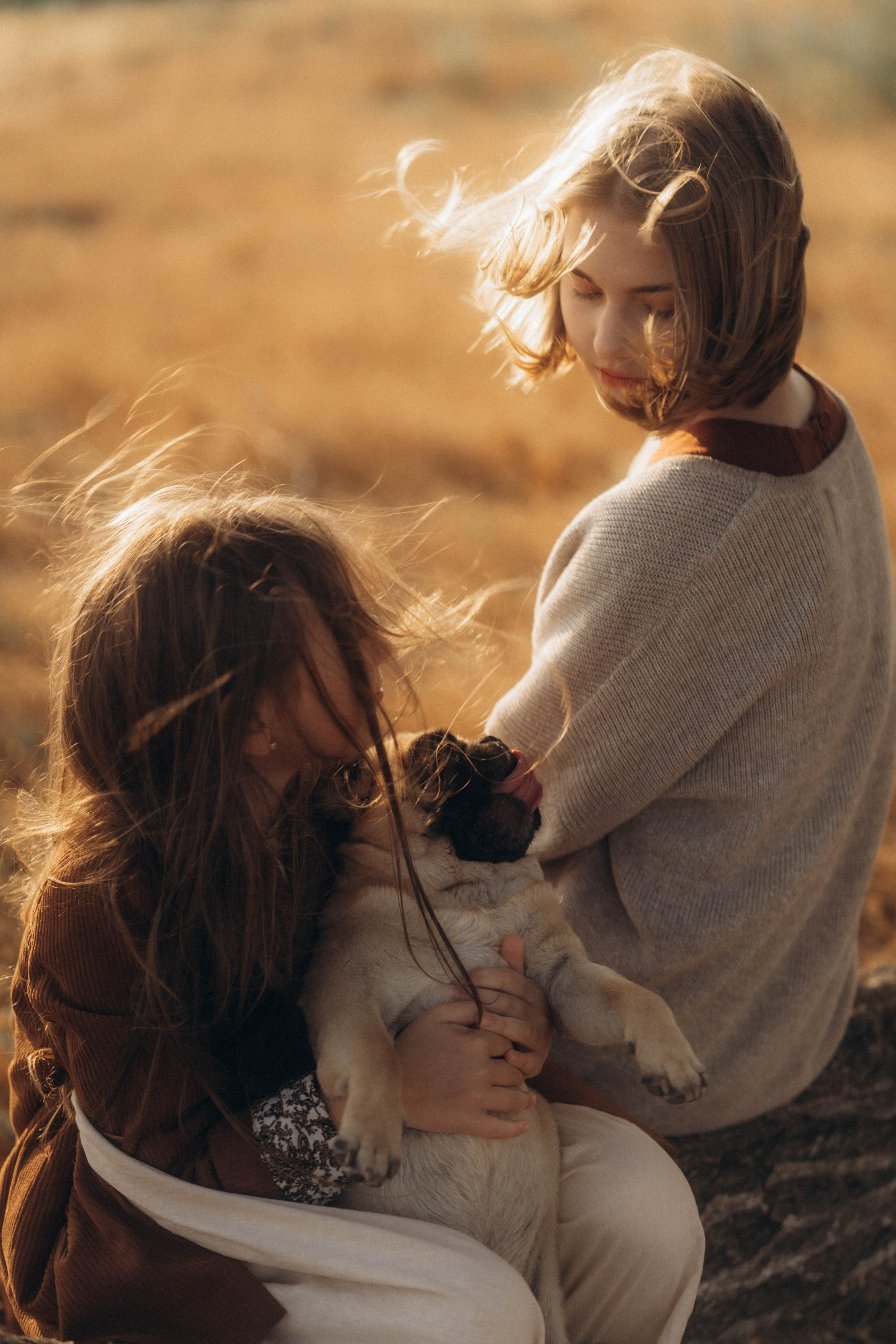 Старшая сестра. Семейный фотограф в Калининграде Елена Глазунова