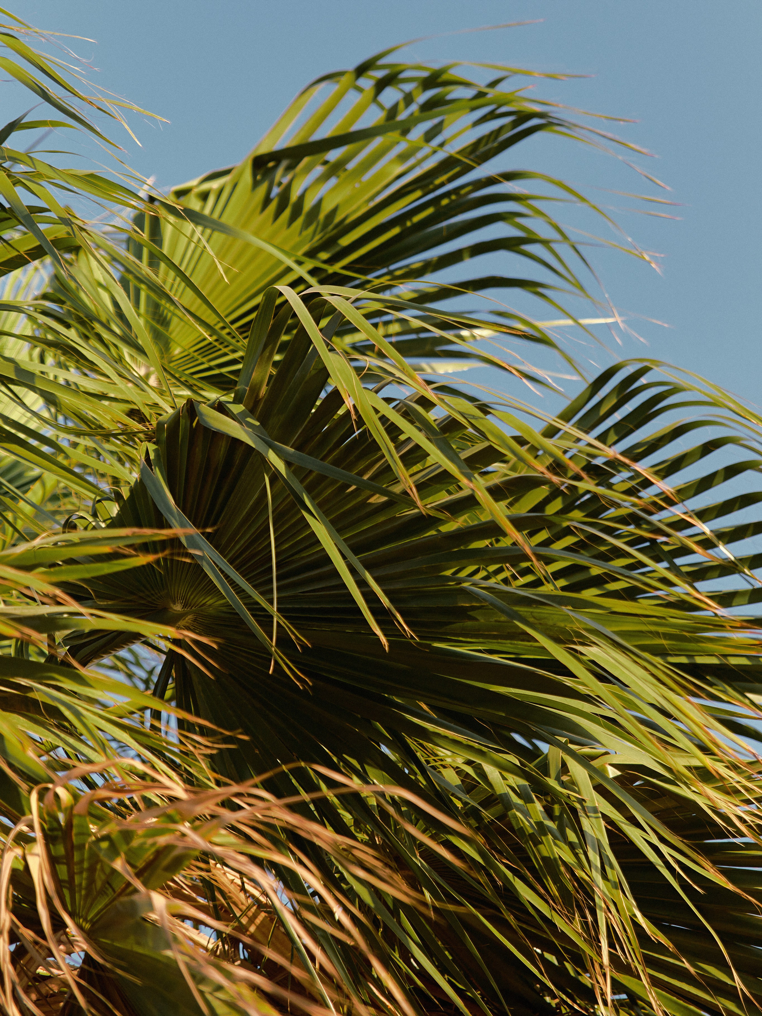 Природа. Jorgis Talè — photographer, kind person, teacher of arts and other mag