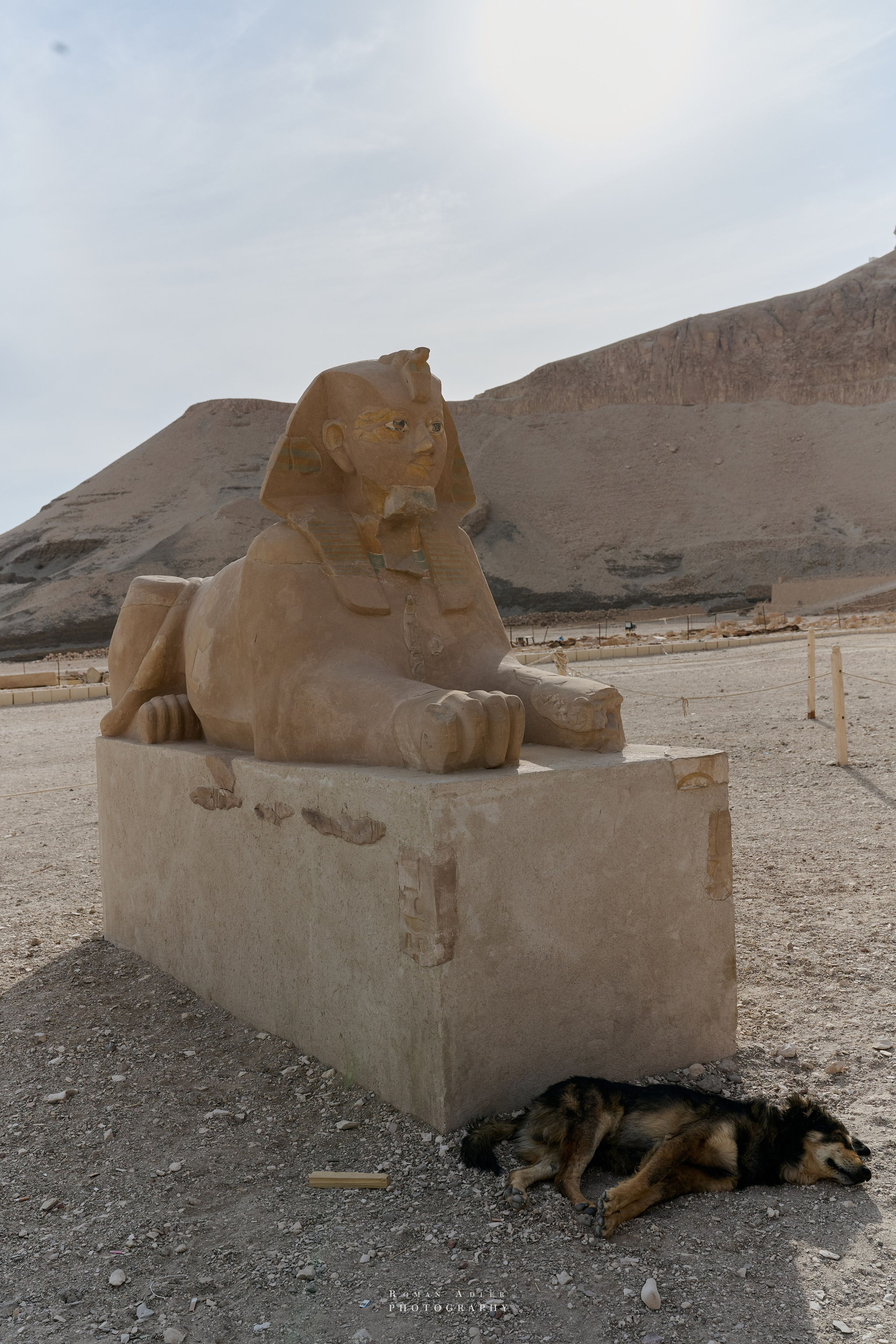 Луксор. Февраль 2025. Фотограф Роман Адлер