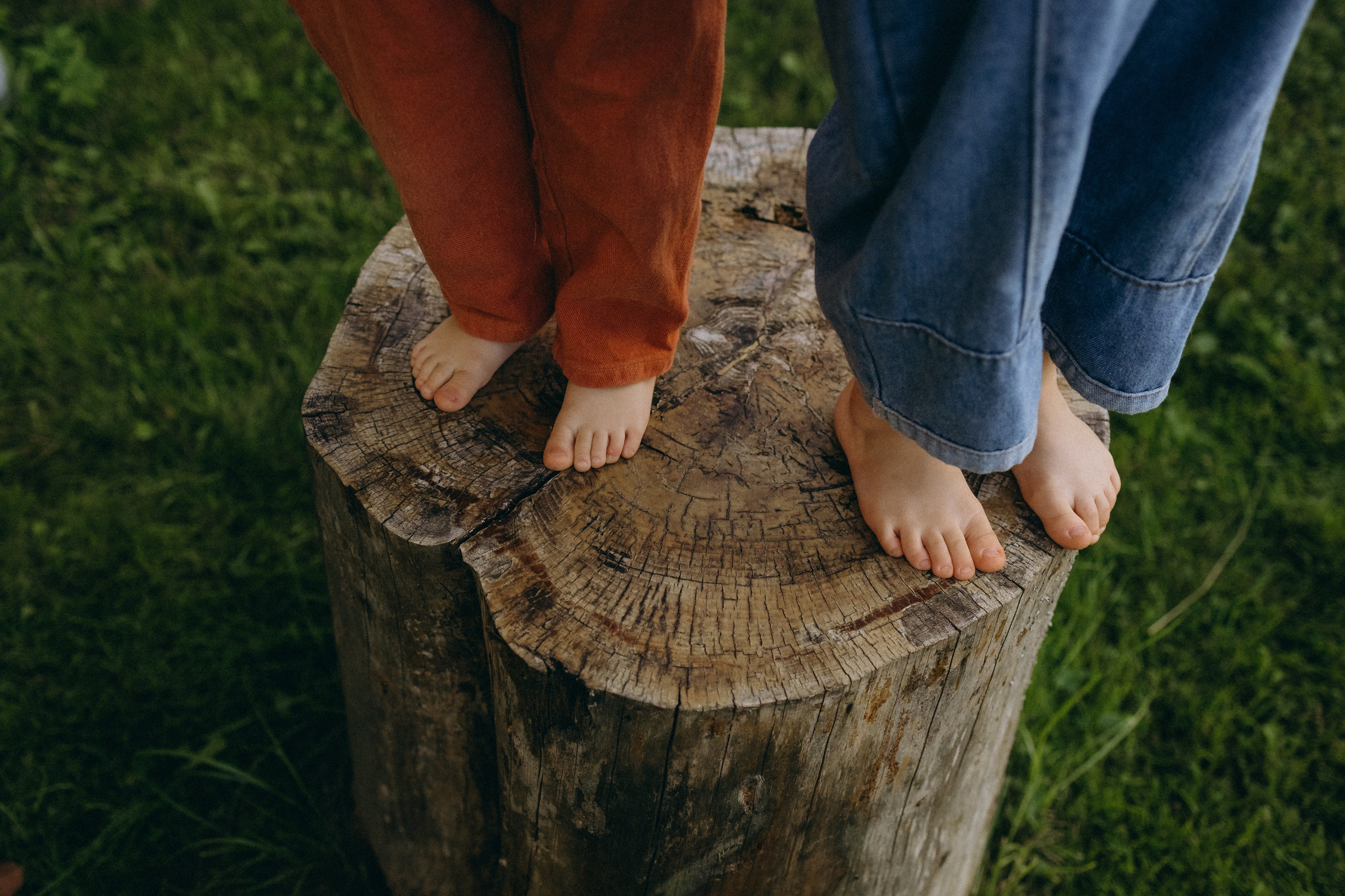 Алена, Еся, Агния. Главная