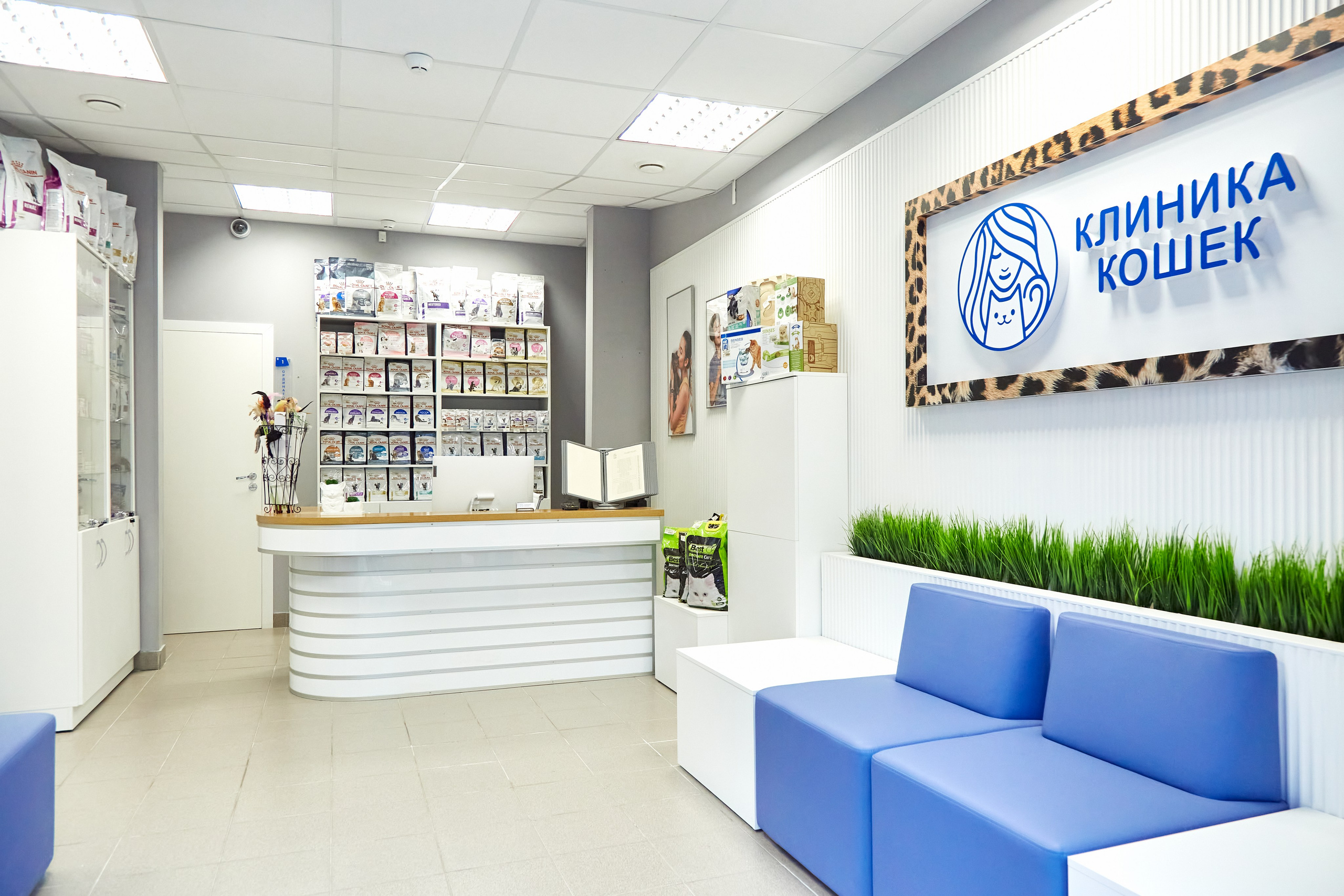 Клиника кошек. Фотограф Анастасия Леонтьева Санкт-Петербург