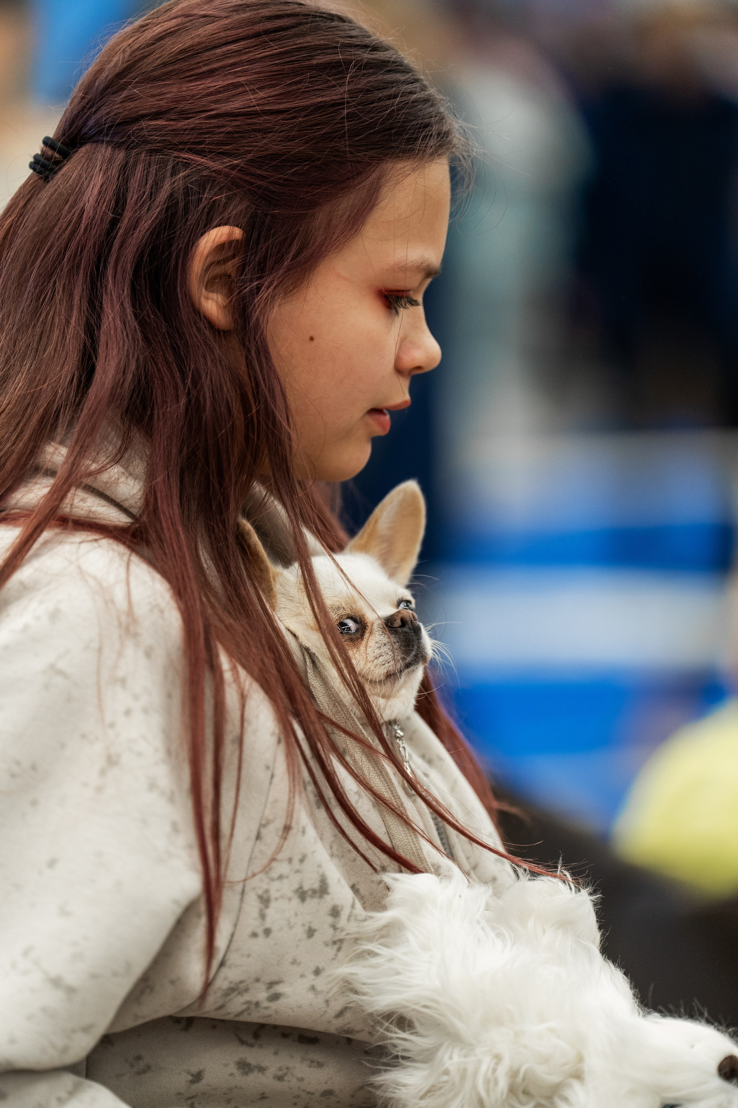 Dog Show. Давыденко Анна / Фотограф Краснодар/Сочи