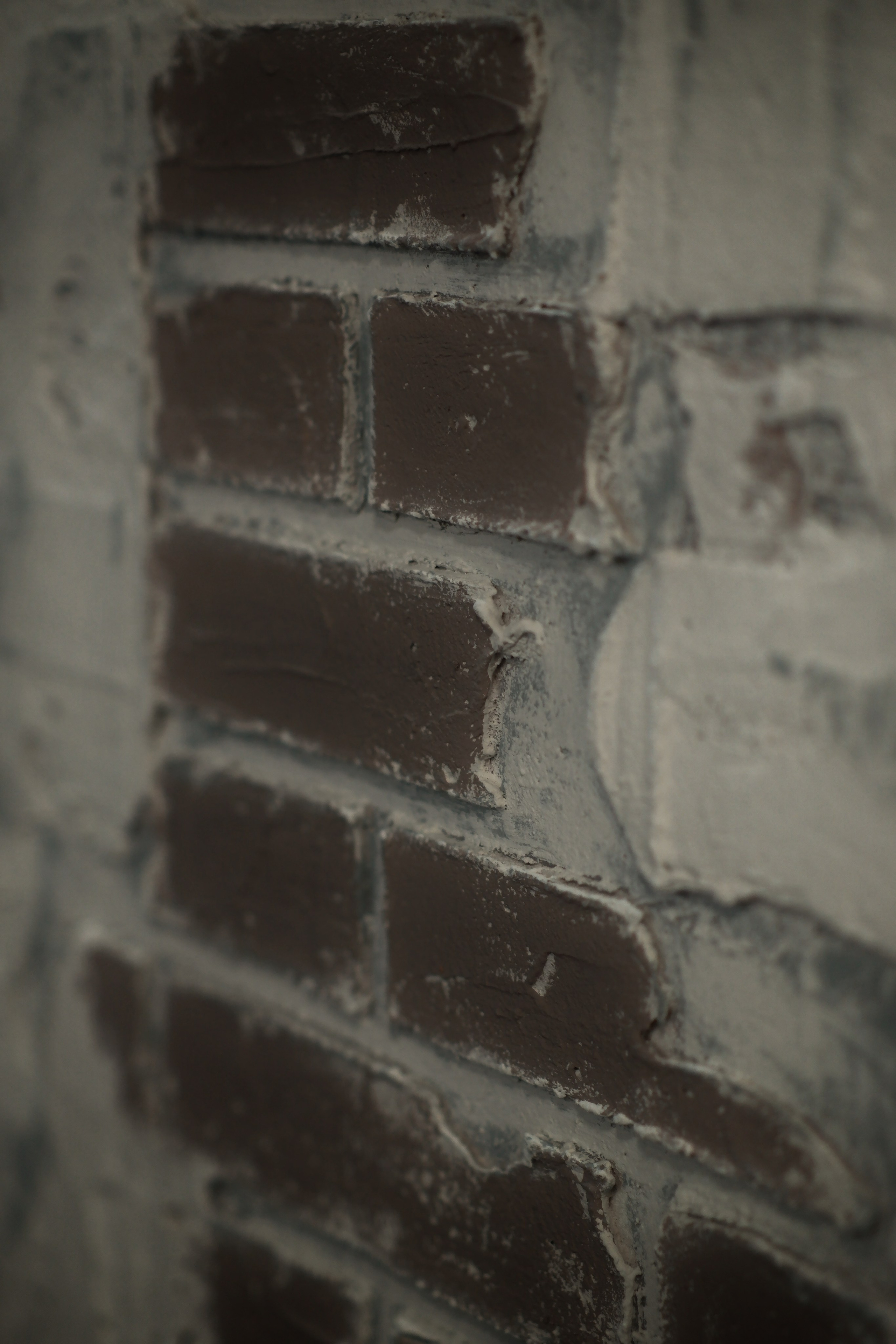 Барбершоп Сибирь. Фотограф в Норильске Наташа Фаби