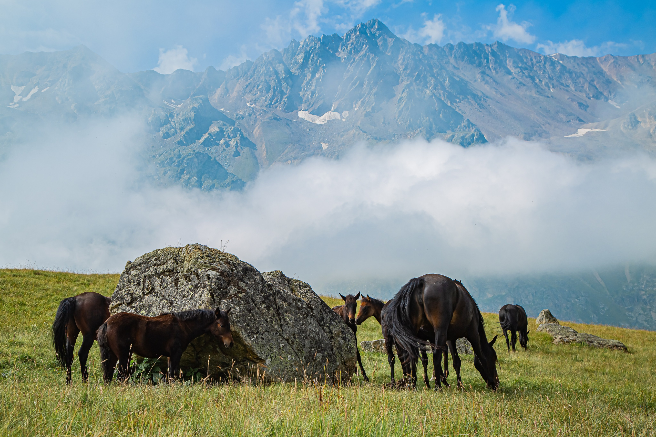 КАВКАЗ. Авторские туры с профессиональным фотографом