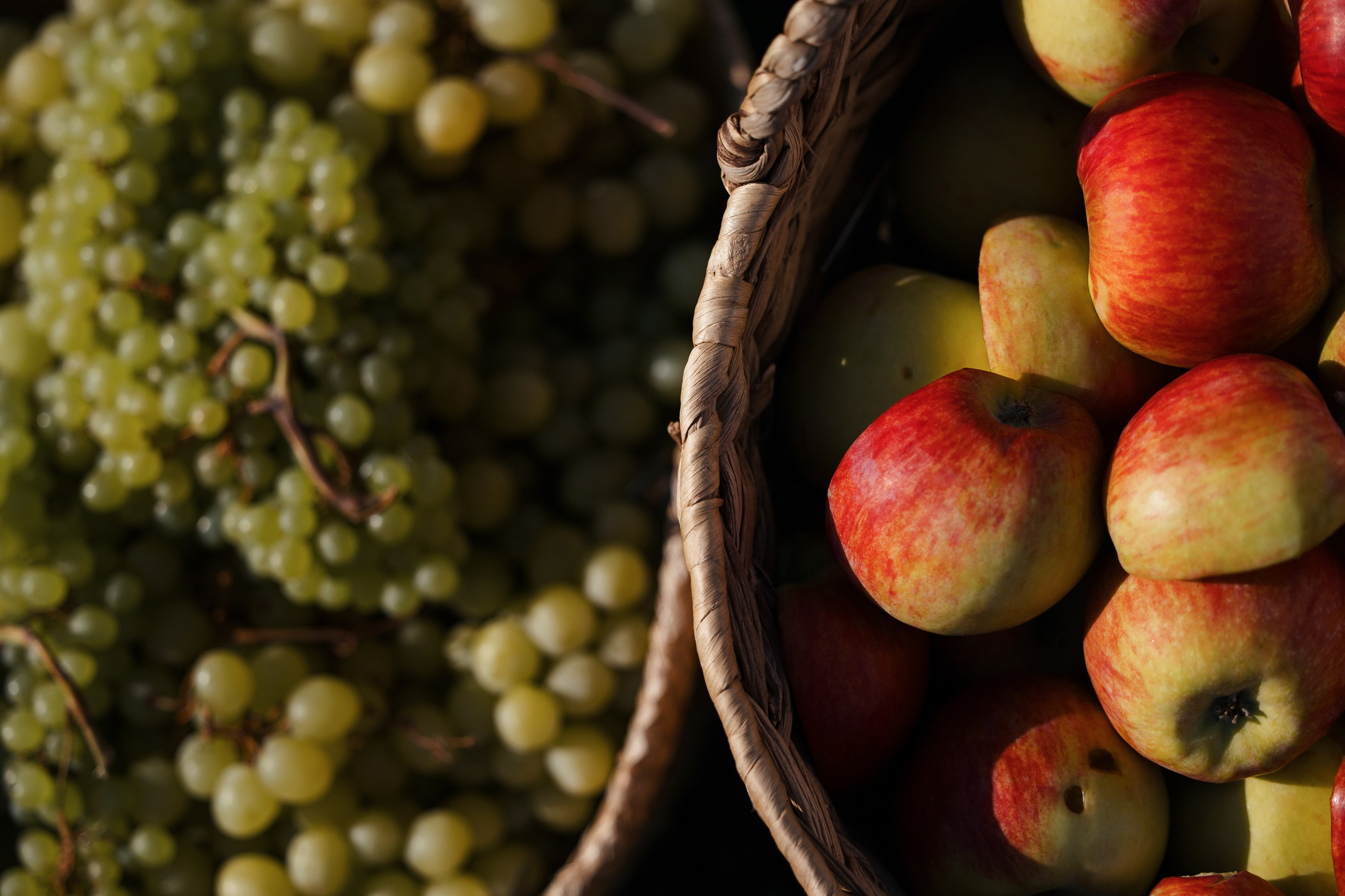 Bayer. Репортажный фотограф Санкт-Петербург, Москва