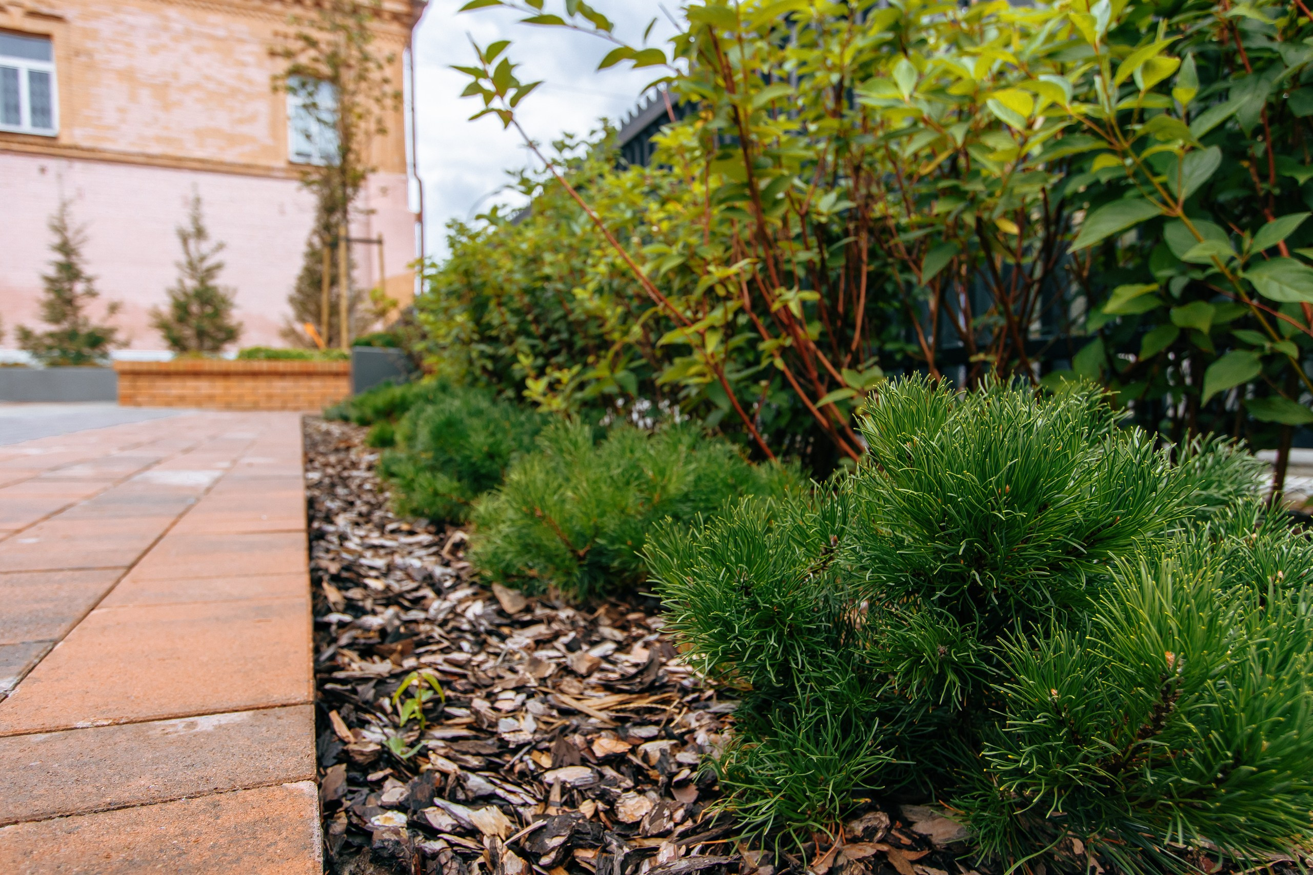 Маяковский. Свадебный и репортажный фотограф в Новосибирске Матлак Дарья