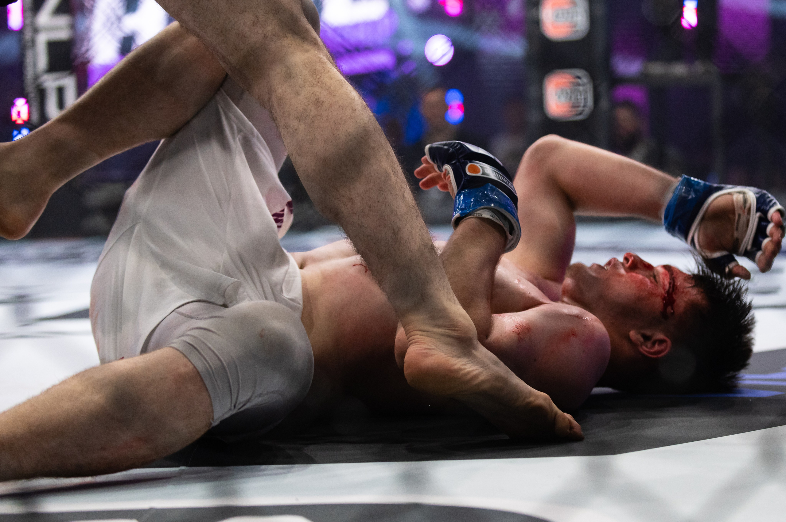 Бои. Репортажный фотограф в Красной Поляне и Сочи Павлюченко Екатерина