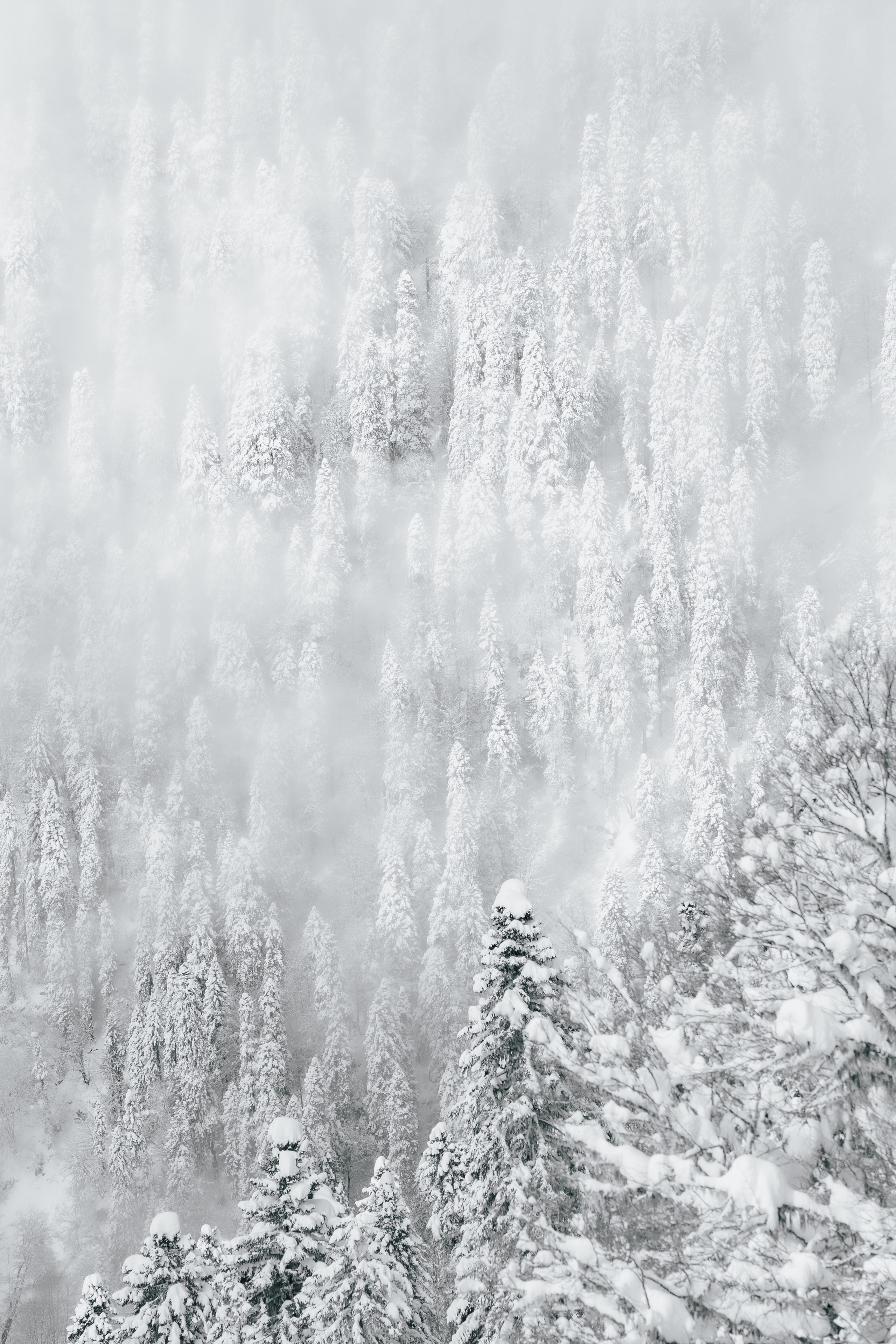 Путешествия и пейзаж. Репортажный фотограф в Красной Поляне и Сочи Павлюченко Екатерина