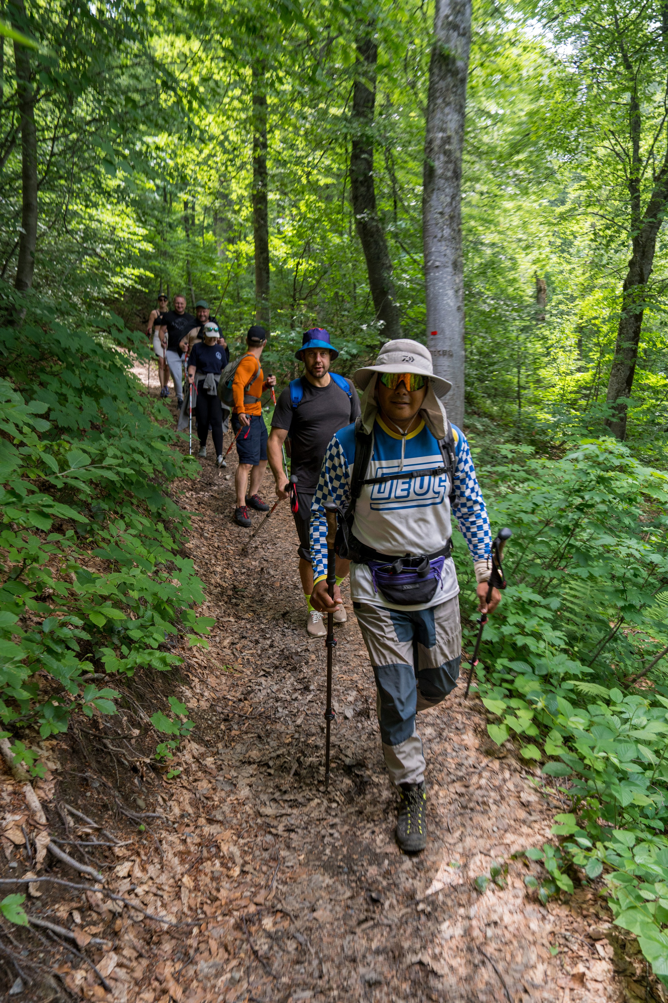 MICE мероприятие для компании «Доставка морем»: хайкинг к Ачипсинским водопадам. Репортажный фотограф в Красной Поляне и Сочи Павлюченко Екатерина