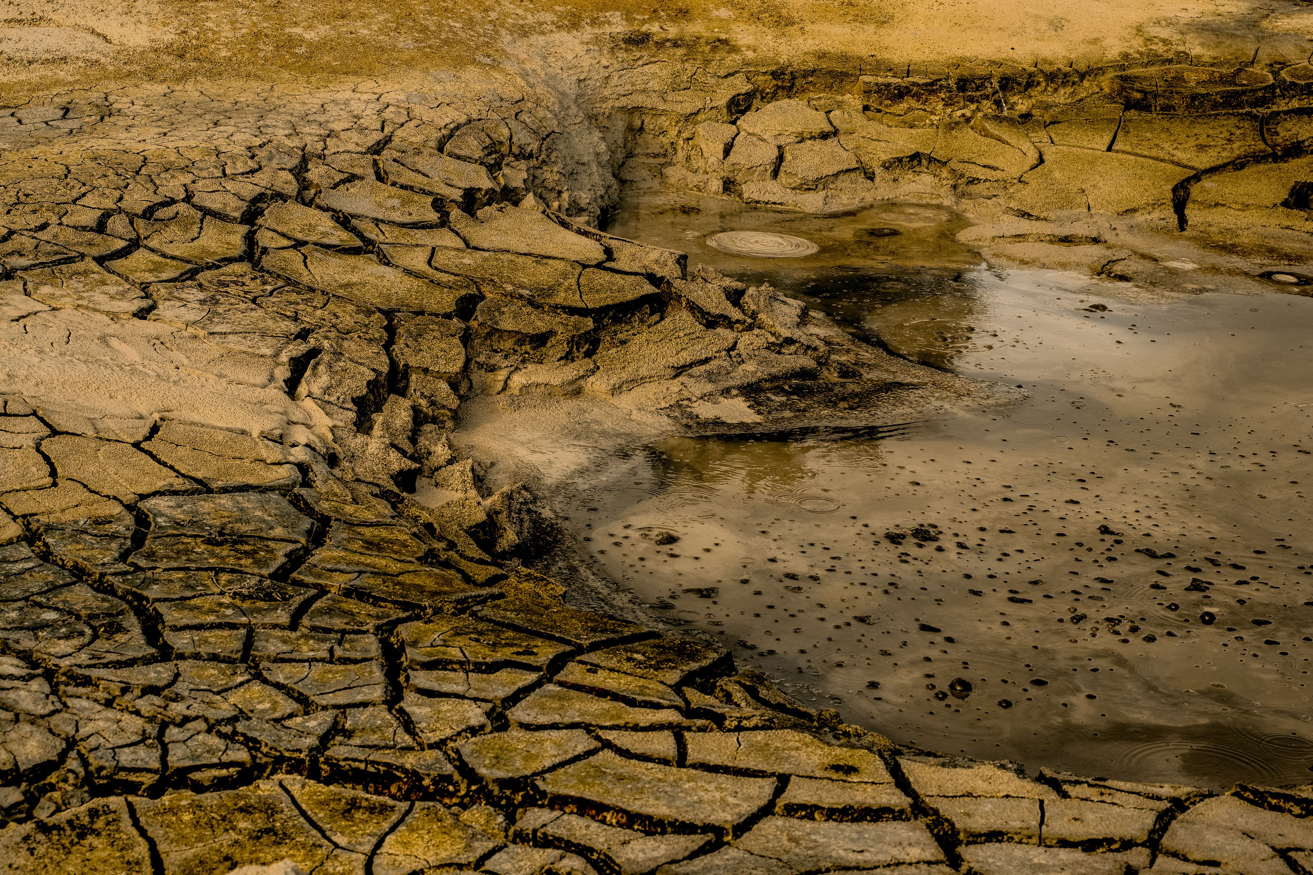 Путешествия и пейзаж. Репортажный фотограф в Красной Поляне и Сочи Павлюченко Екатерина