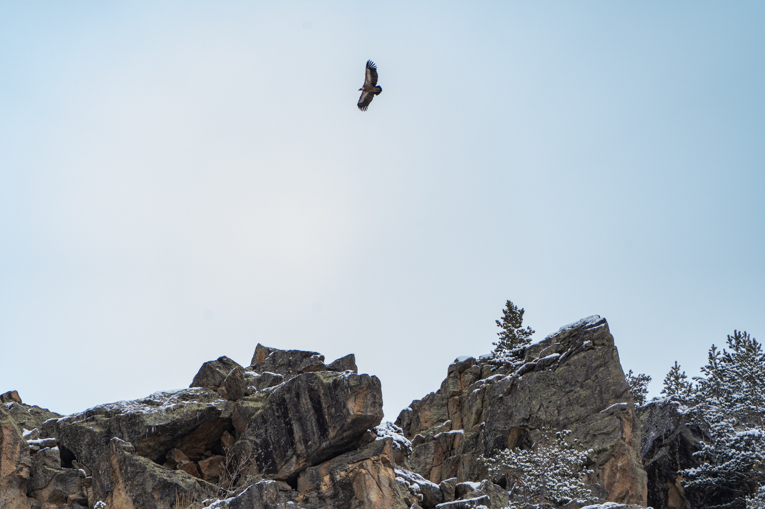 Путешествия и пейзаж. Репортажный фотограф в Красной Поляне и Сочи Павлюченко Екатерина