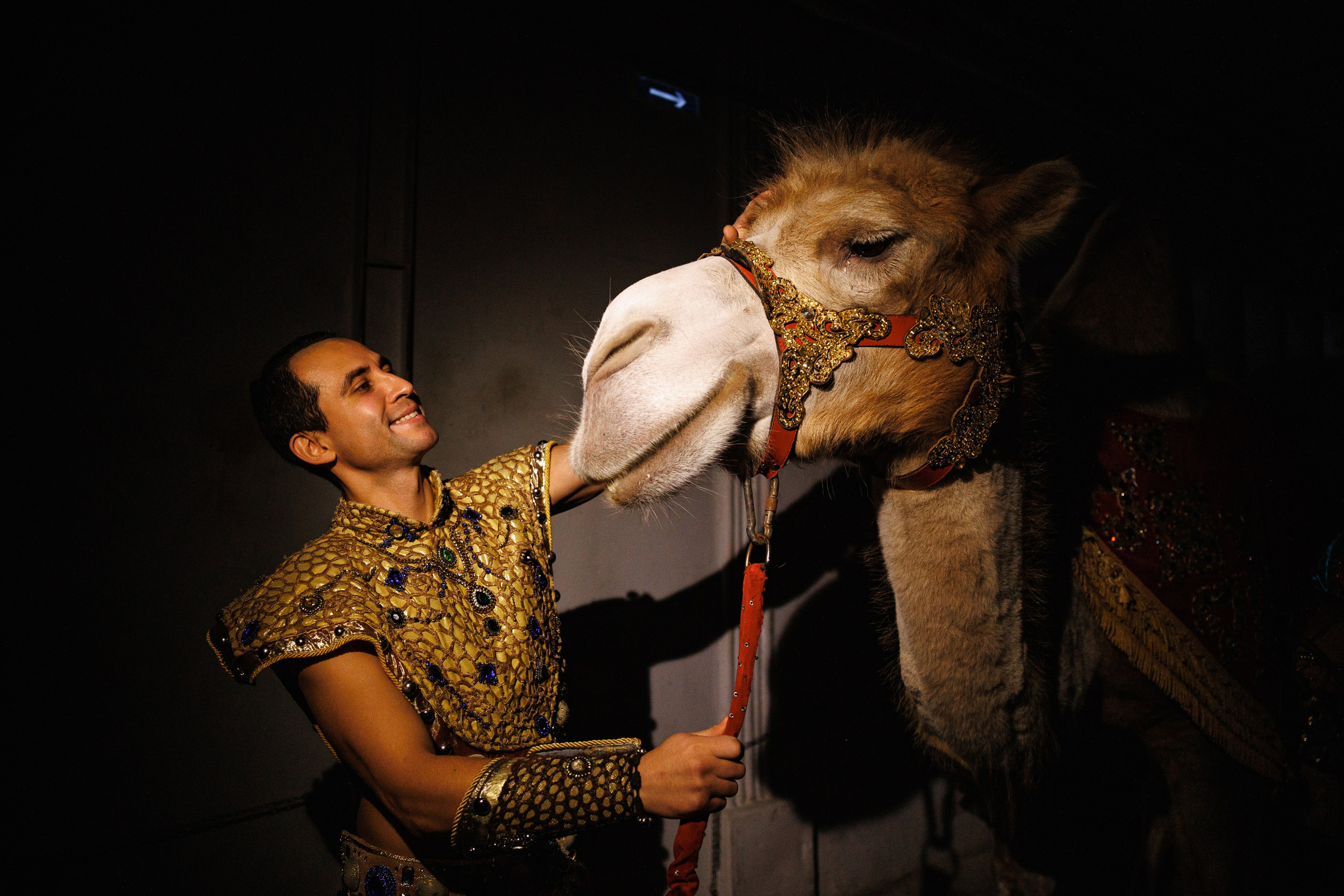 Цирк «Песчаная Сказка». Фотограф Ставрополь Петр Голубенко