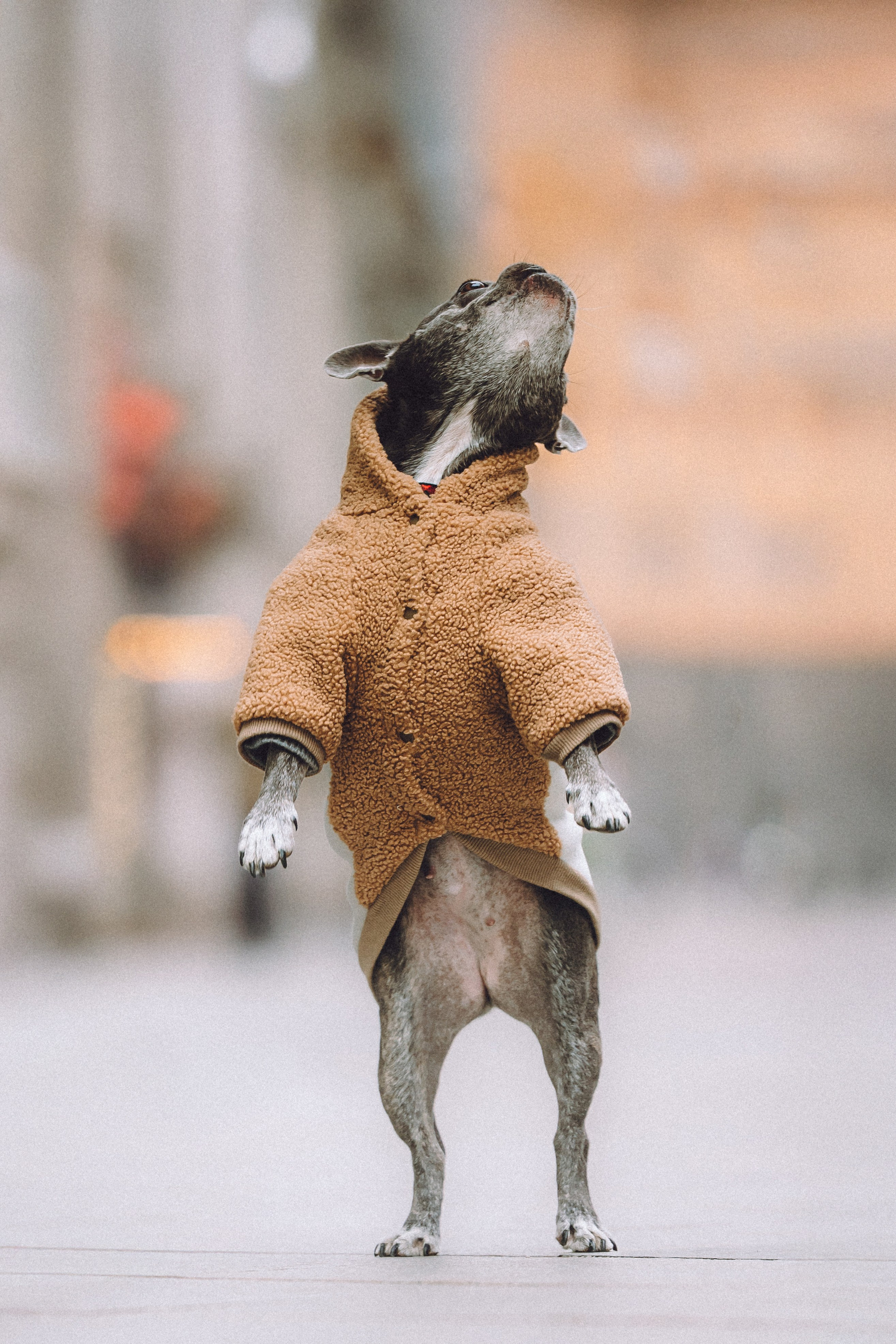 Юля, Вова и Моня