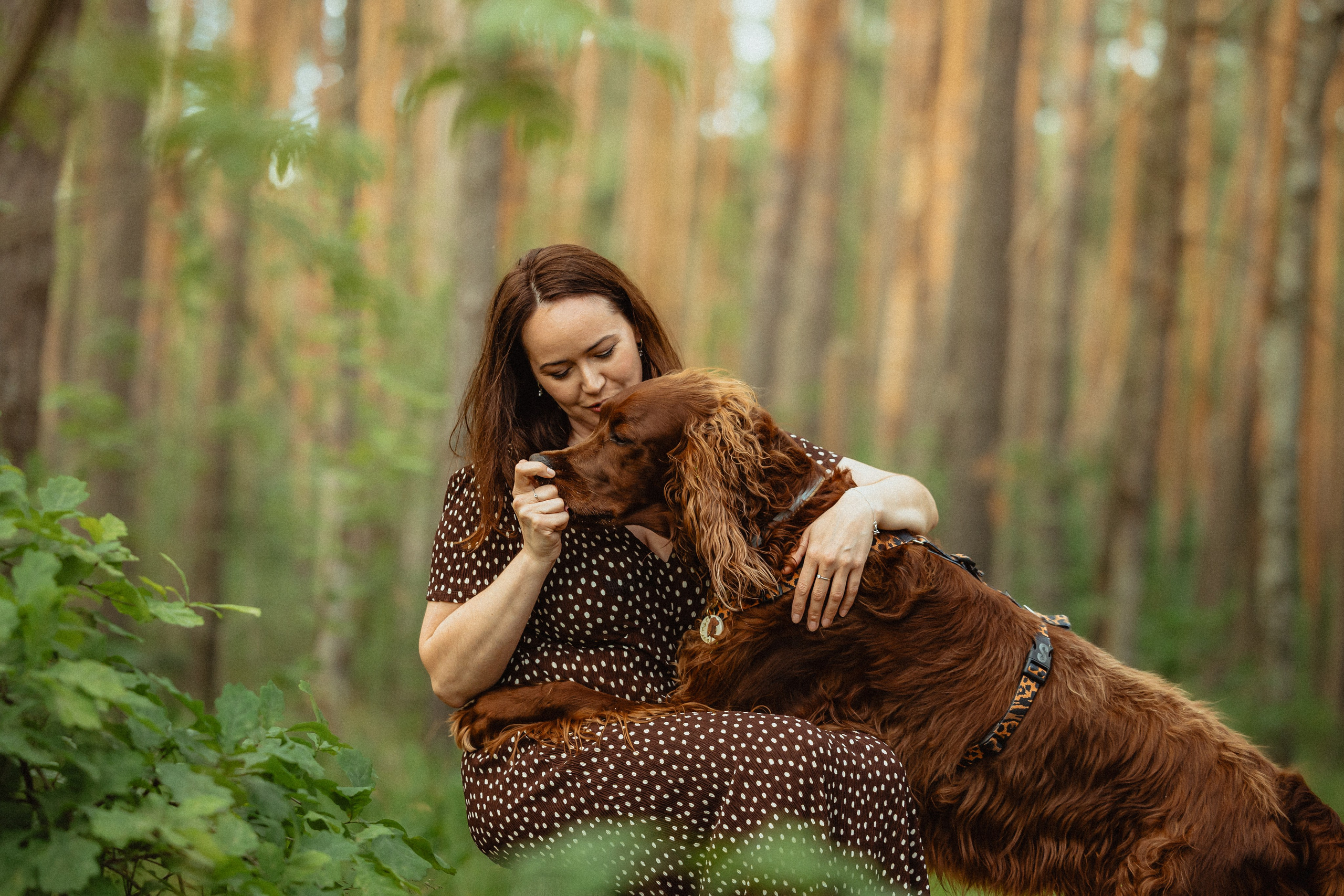 Выездной дог-тренинг от школы «Шерсть имею»