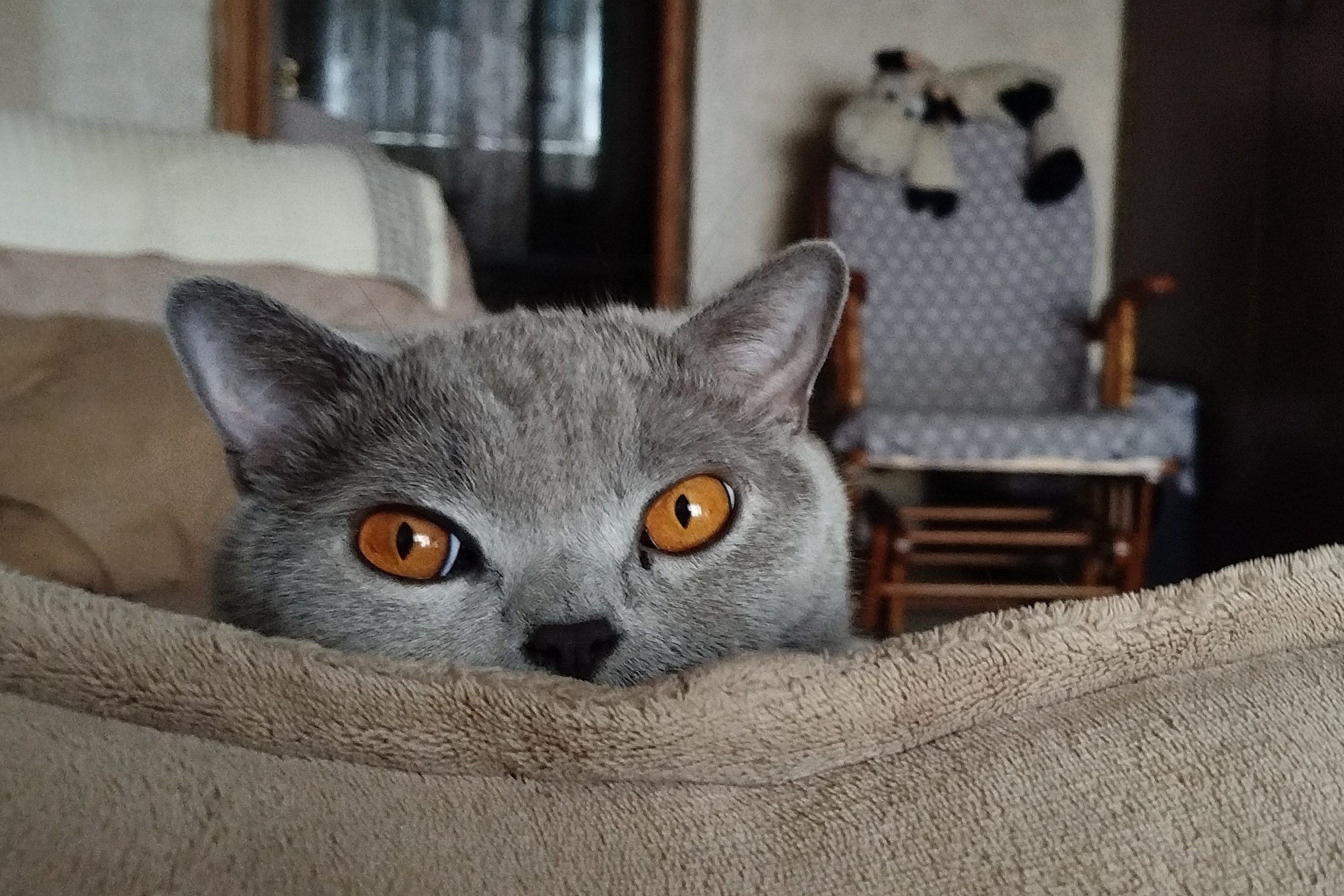 Улица, люди, жизнь…