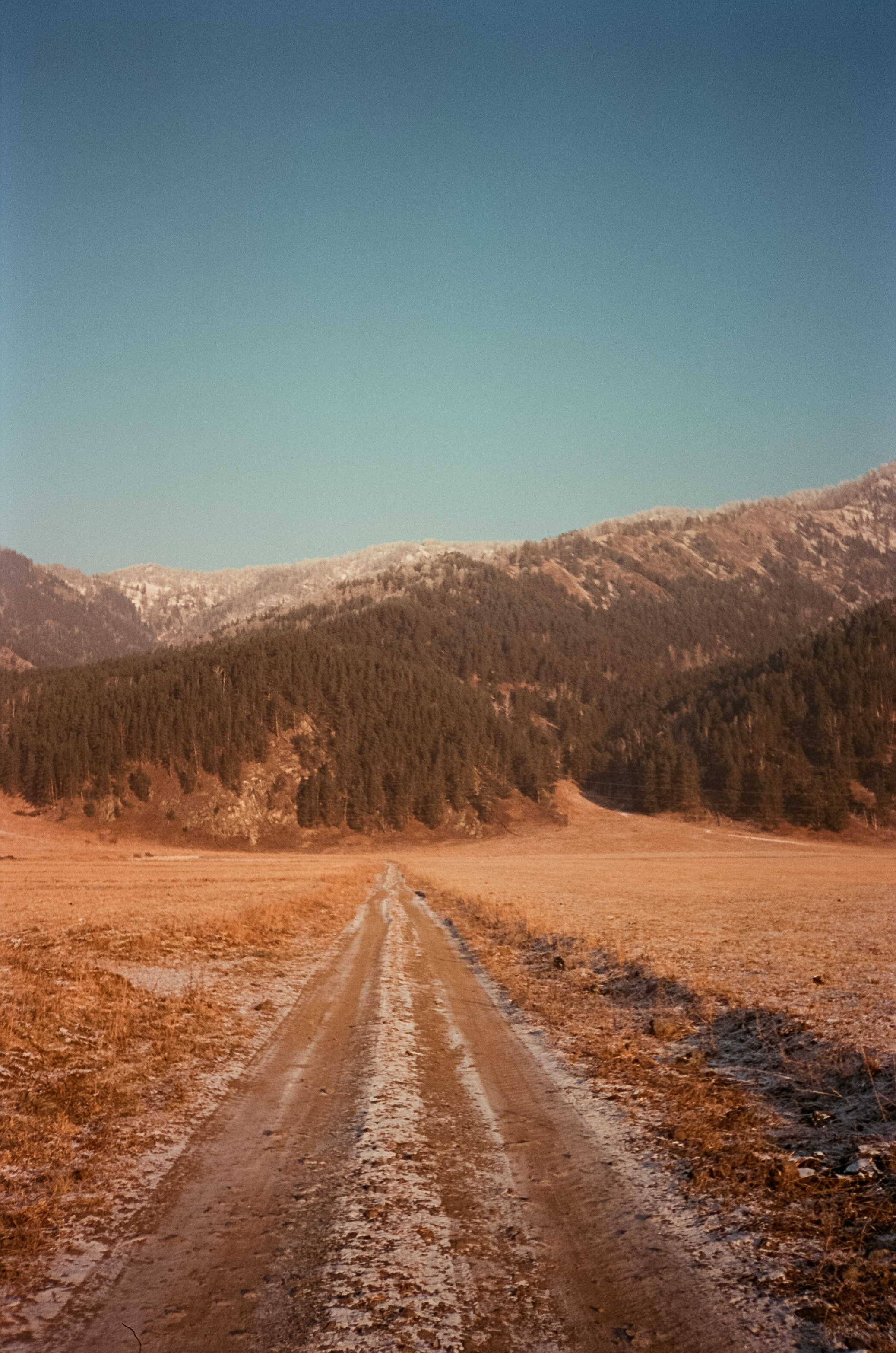 Утро на скалах Зубы Дракона. Чемал: поля и горы на закате. Фотограф-документалист Мария Осокина