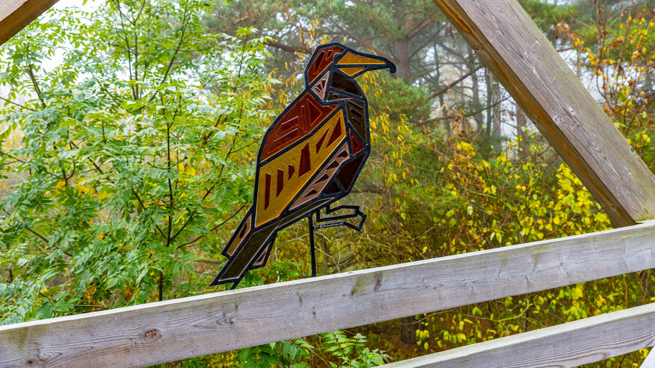 2024 10 Зеленоградск, Светлогорск, Куршская коса. Фотографии