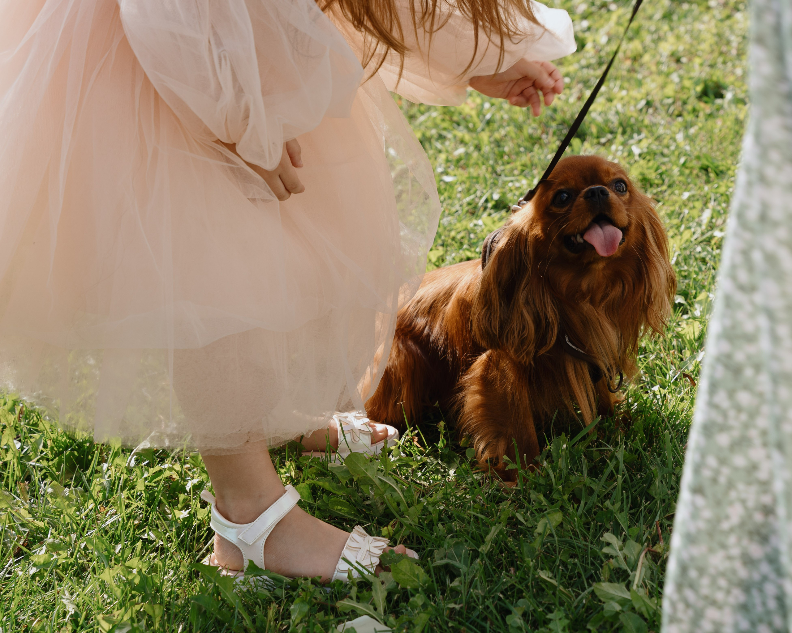 Полина и Никита. Свадебный фотограф Ростов-на-Дону