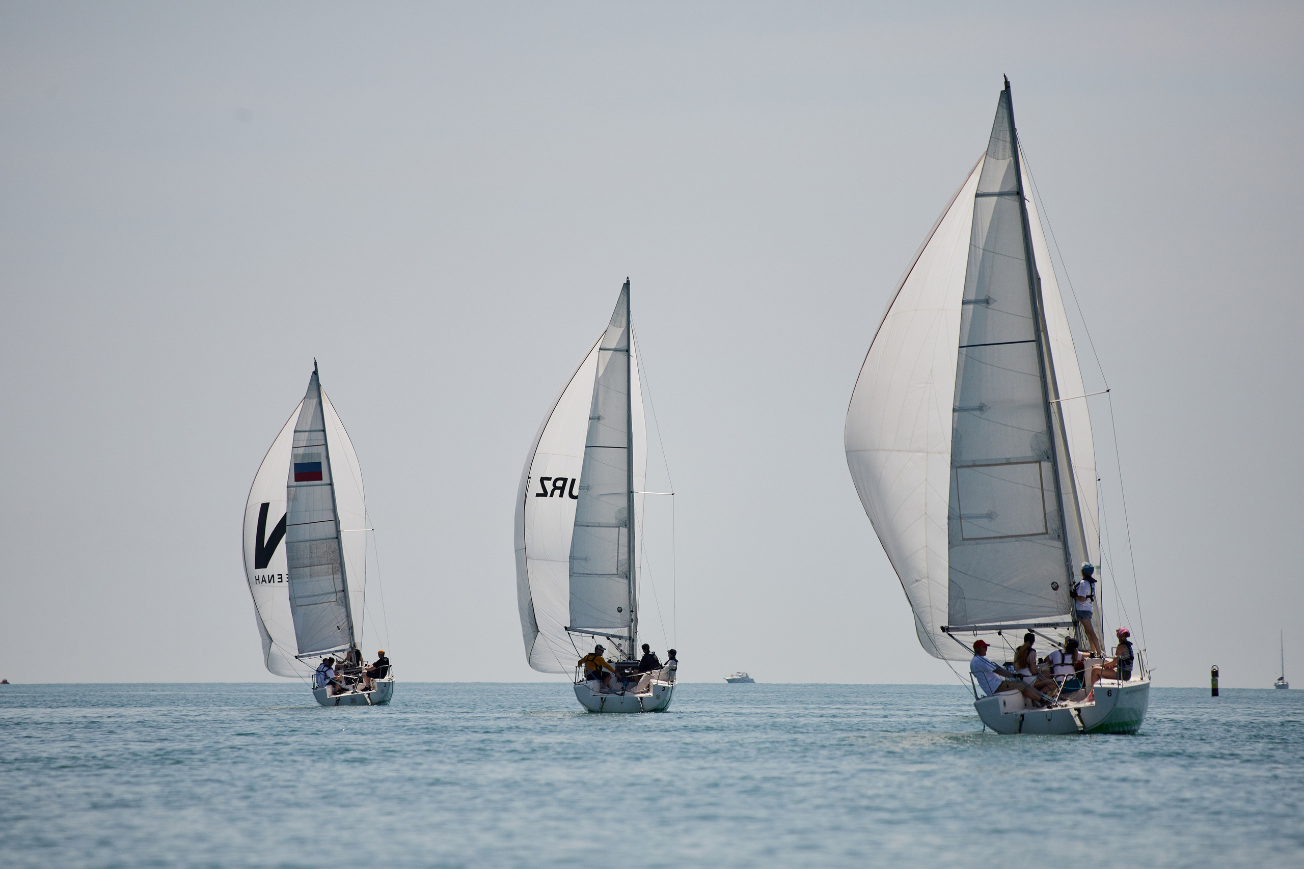 Регата. Главная