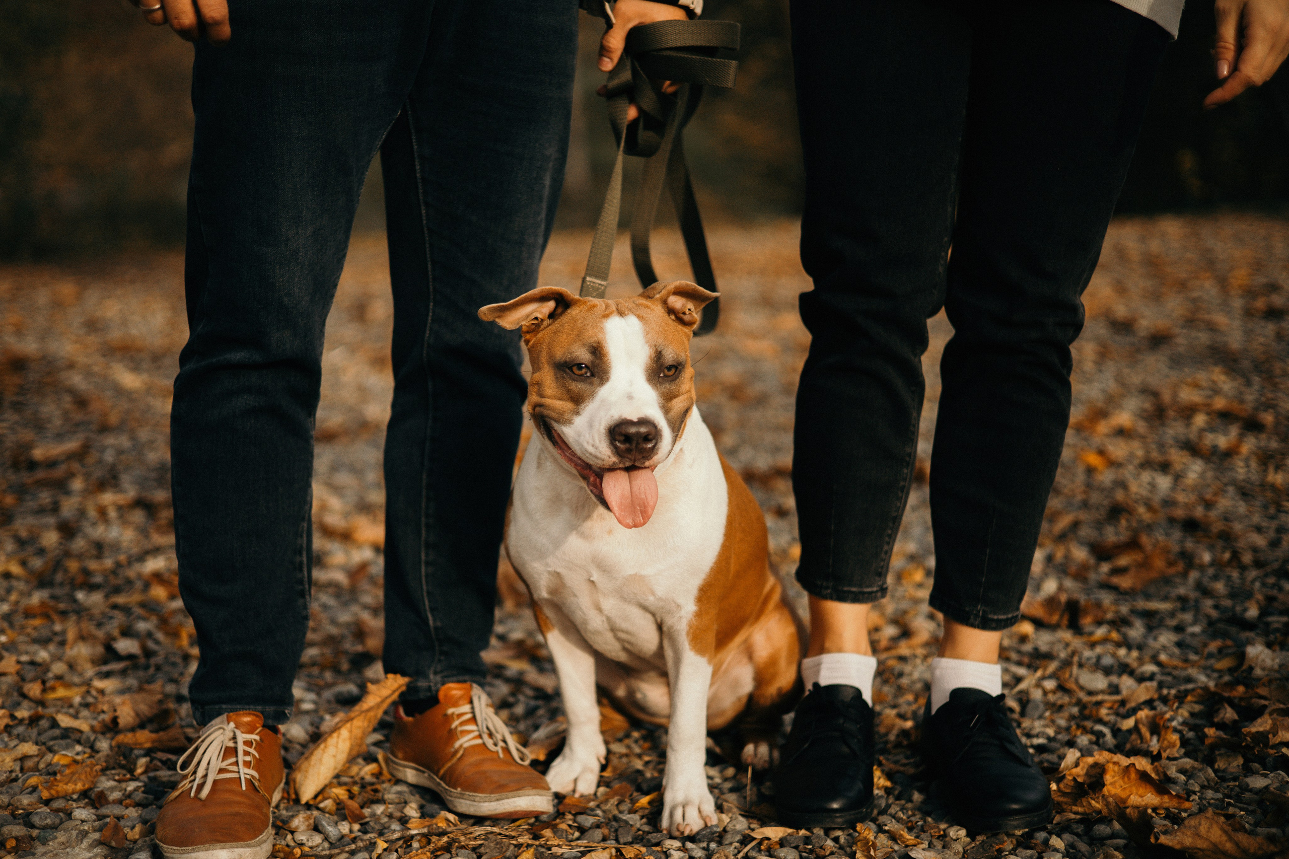 Лаффи и ее семья. Фотограф — анималист Владивосток, Алина