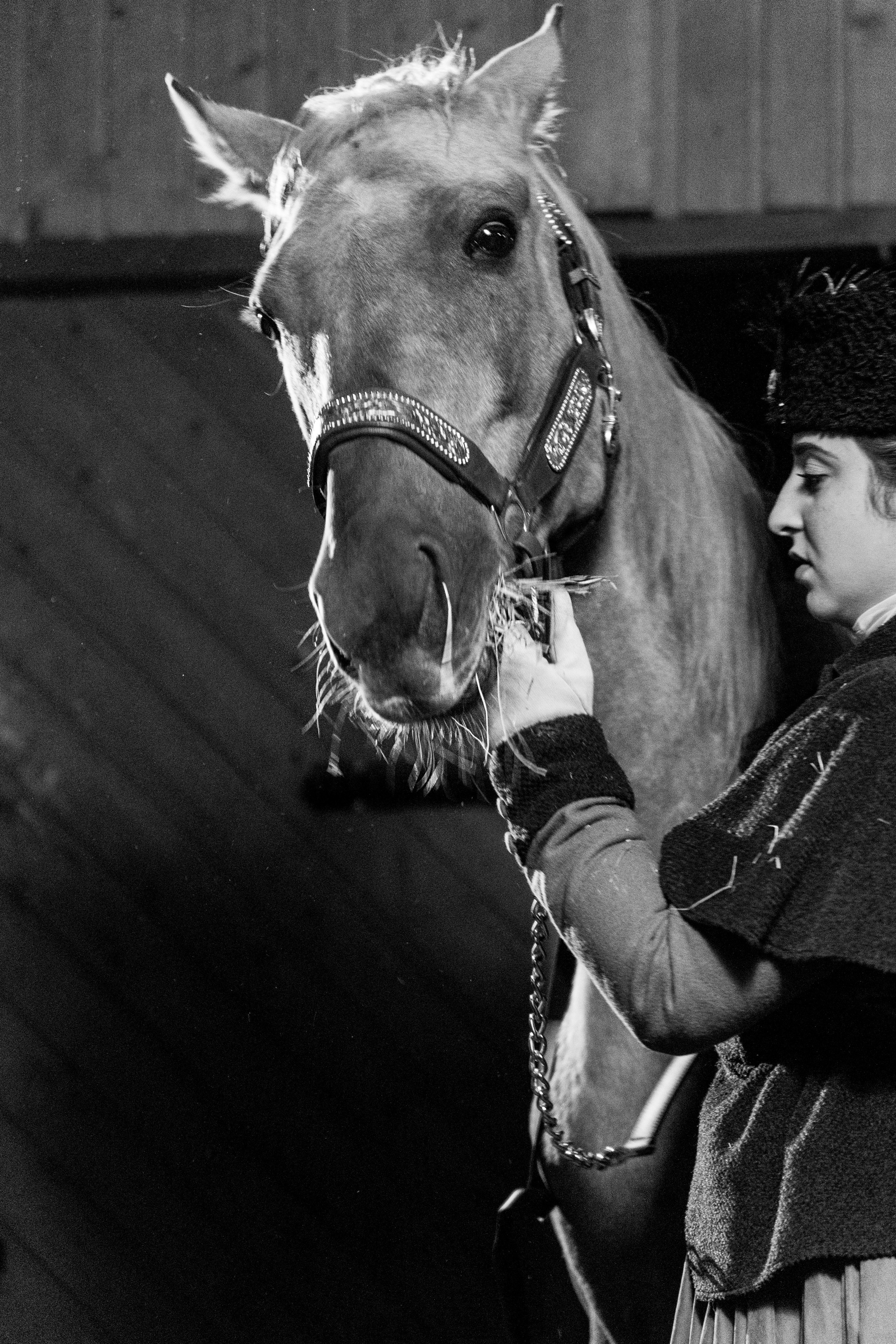 Фотограф Татьяна Марсуверских г. Жуковский, Москва и Мо. Репортажные съёмки, фотосессии с лошадьми,  фотограф анималист, фотосъёмка животных. Фотограф для маркетплейсов, фотоуслуги в Жуковском Татьяна Марсуверских