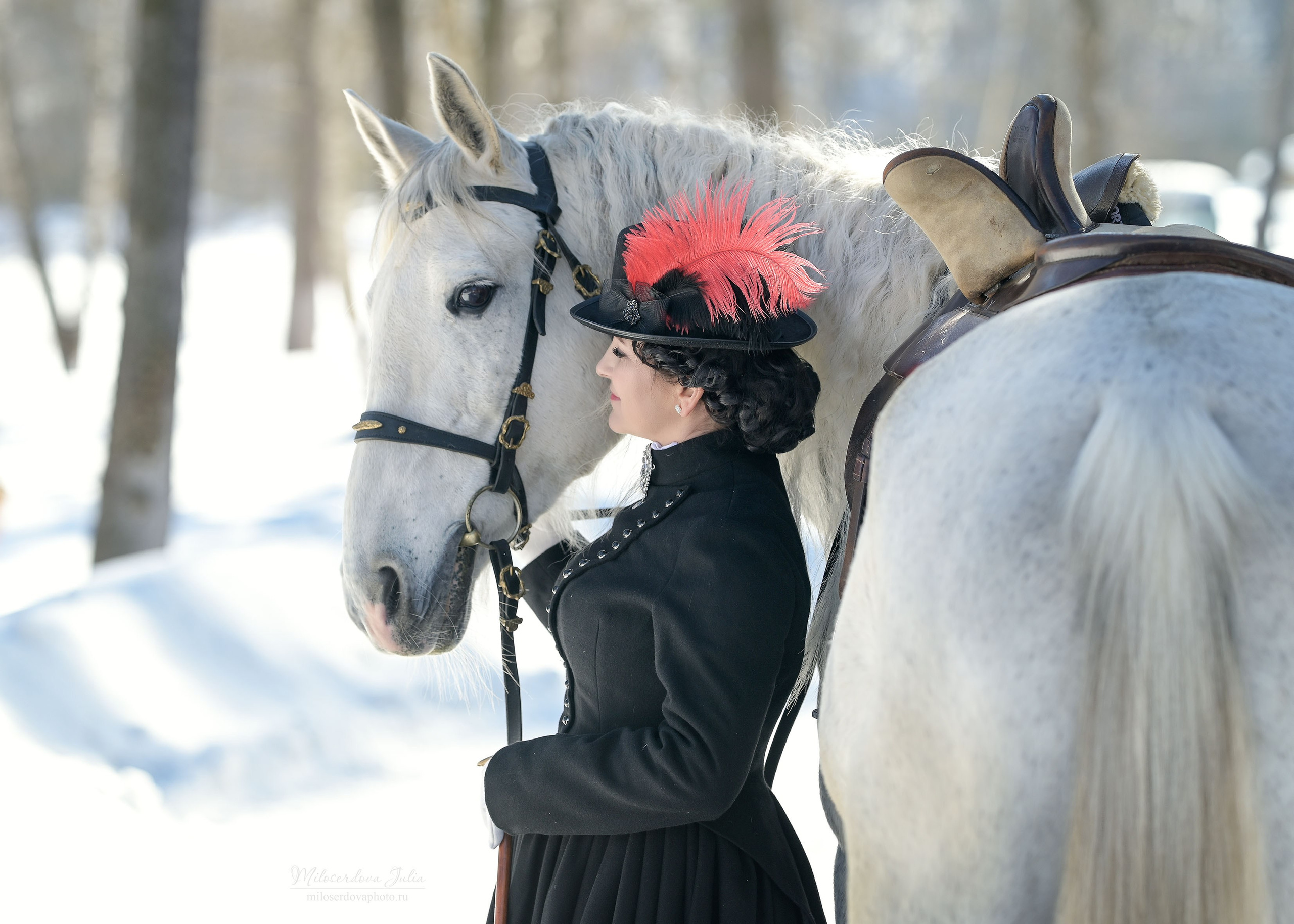 Дамская верховая езда. Фотограф Юлия Милосердова