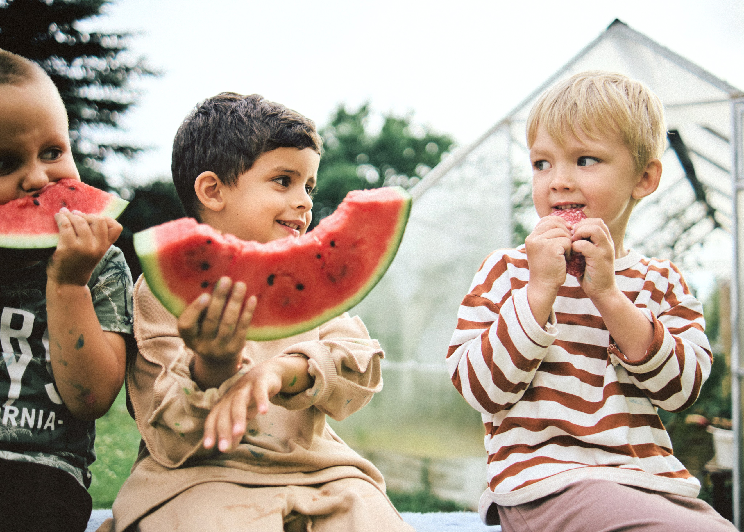 Банда. SHILOVA PHOTO. Шилова Екатерина. Фотограф. Москва