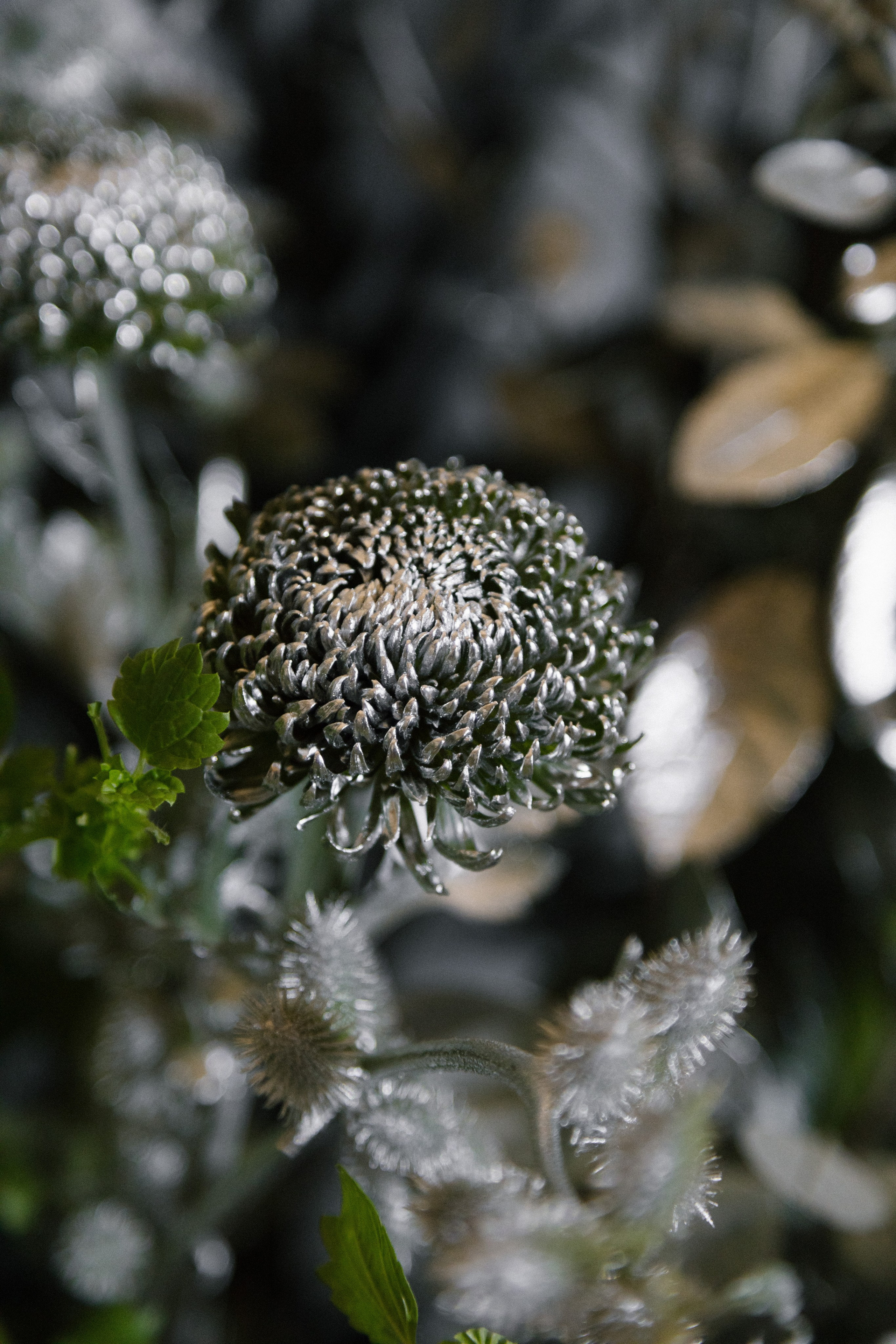 Decor | Серебро