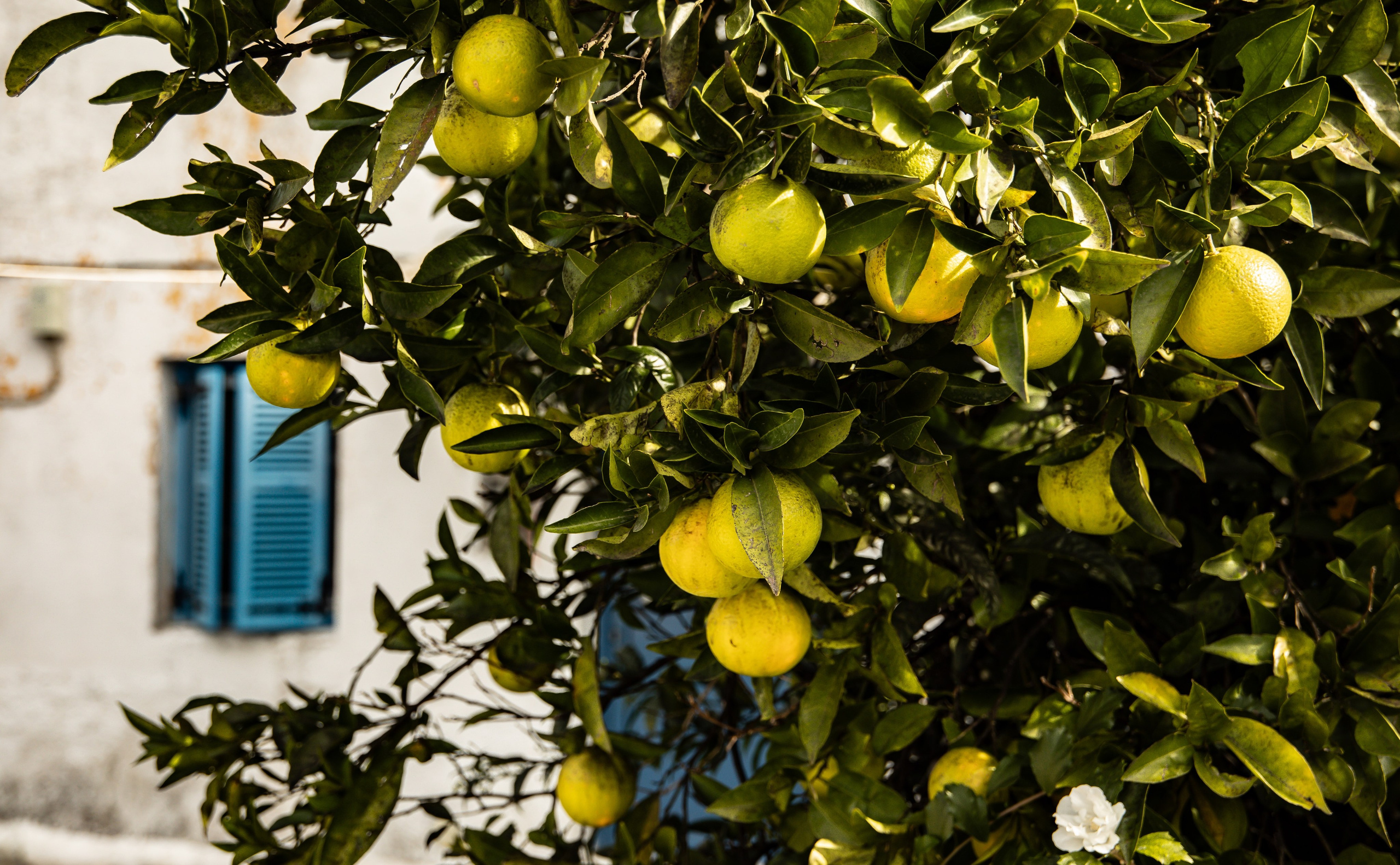 TRAVEL&NATURE. NE Cinema — backstage and reportage photography in cinema, music, Automotive and sport