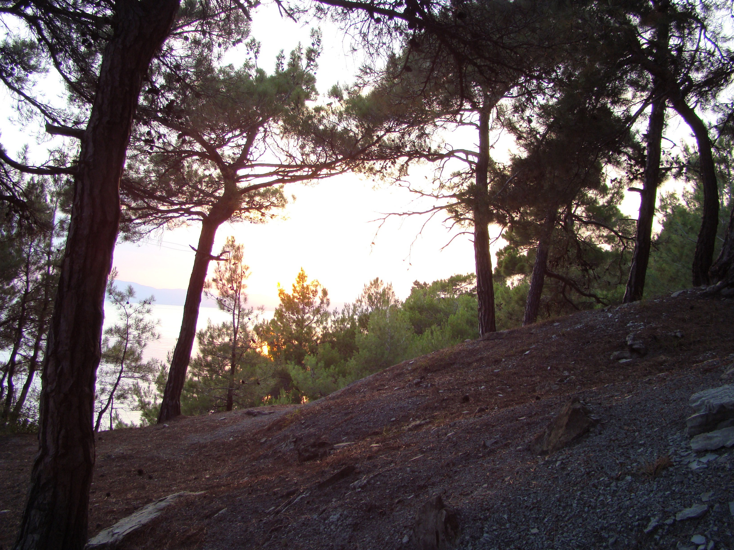 Кабардинка (фото Зевиных) 25.06-24.07.2008. Семейный, Свадебный фотограф СПБ Питер— Романова Екатерина