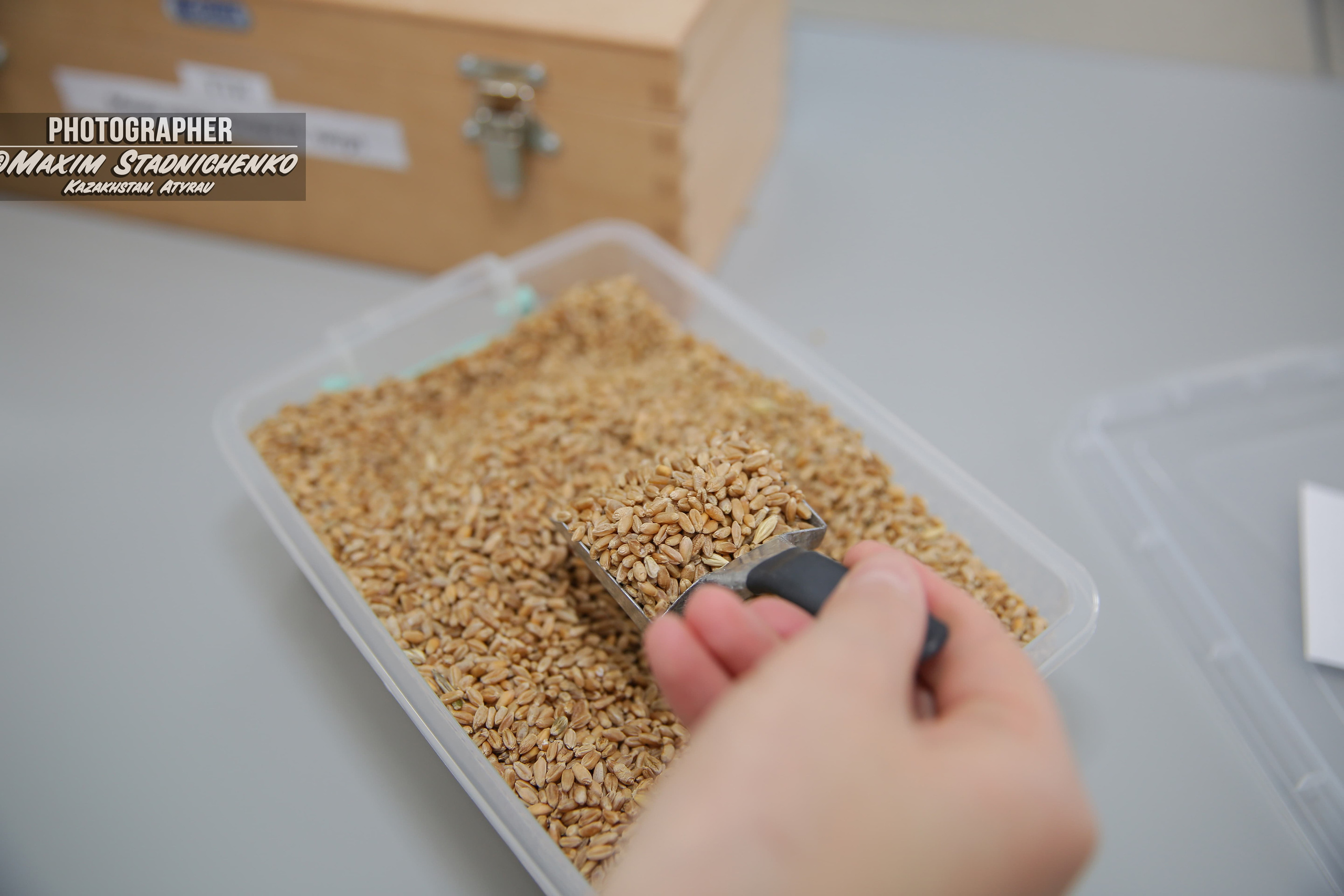 Фотограф промышленности Казахстан, Атырауская область, Мангистауская. Фотограф в Атырау Максим Стадниченко