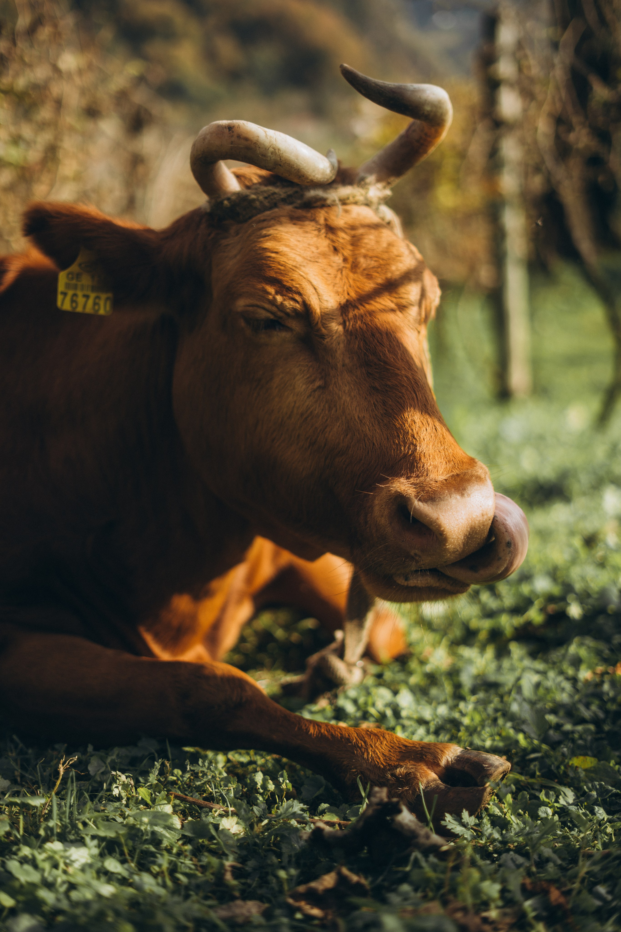 28. Фотограф Батуми | Ксения Кинасова