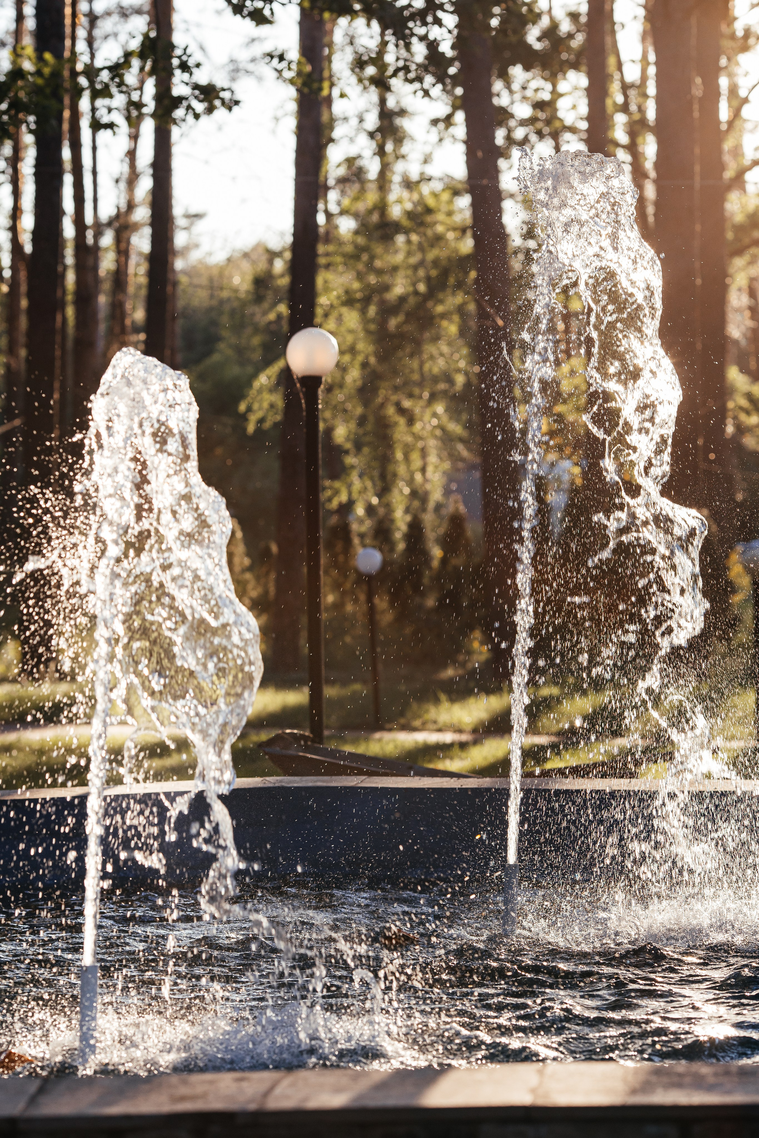 ЛЕСОПАРК | Загородное кафе