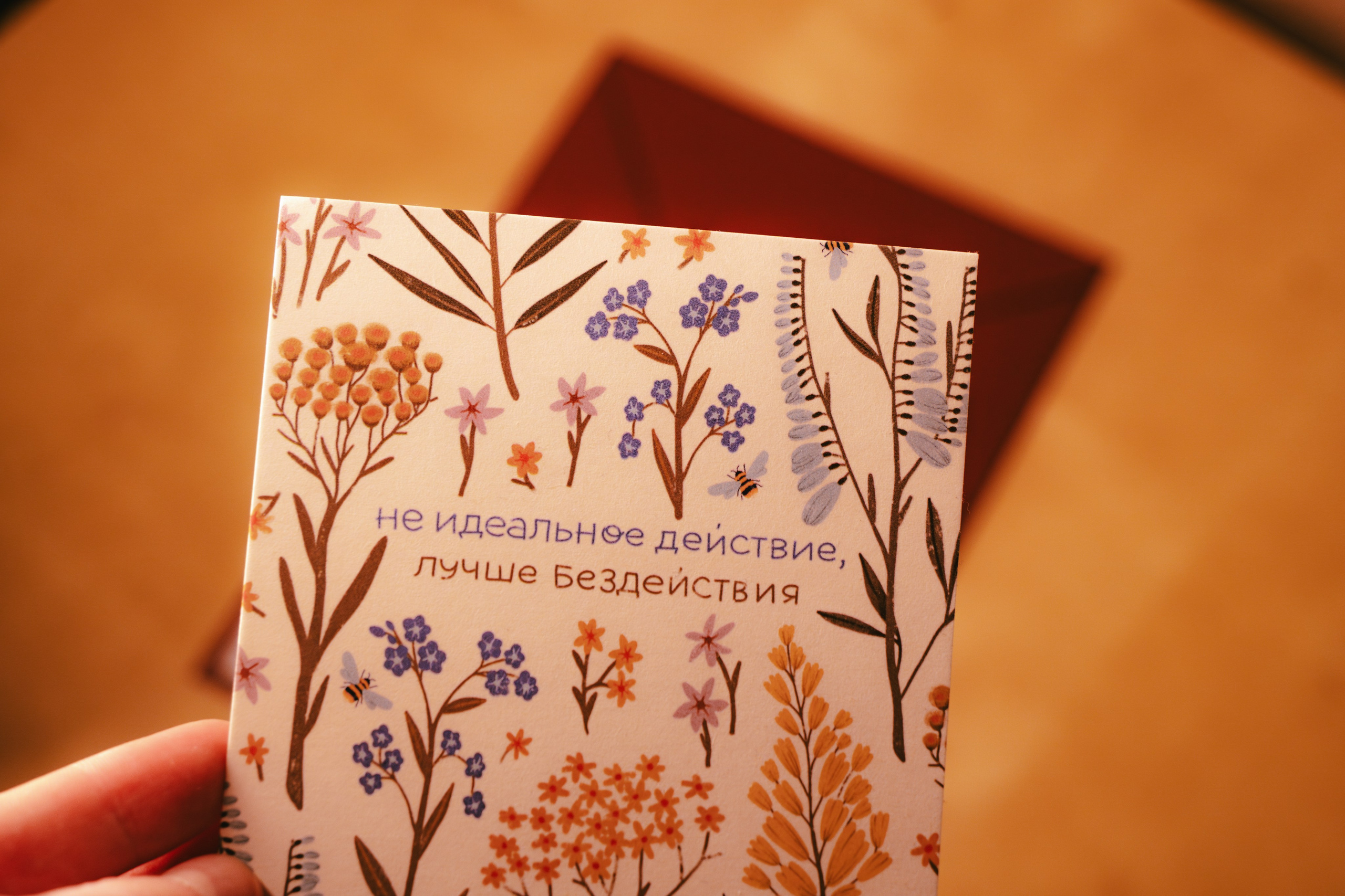 Услуги и стоимость. Фотограф и видеограф Арина Семёнова