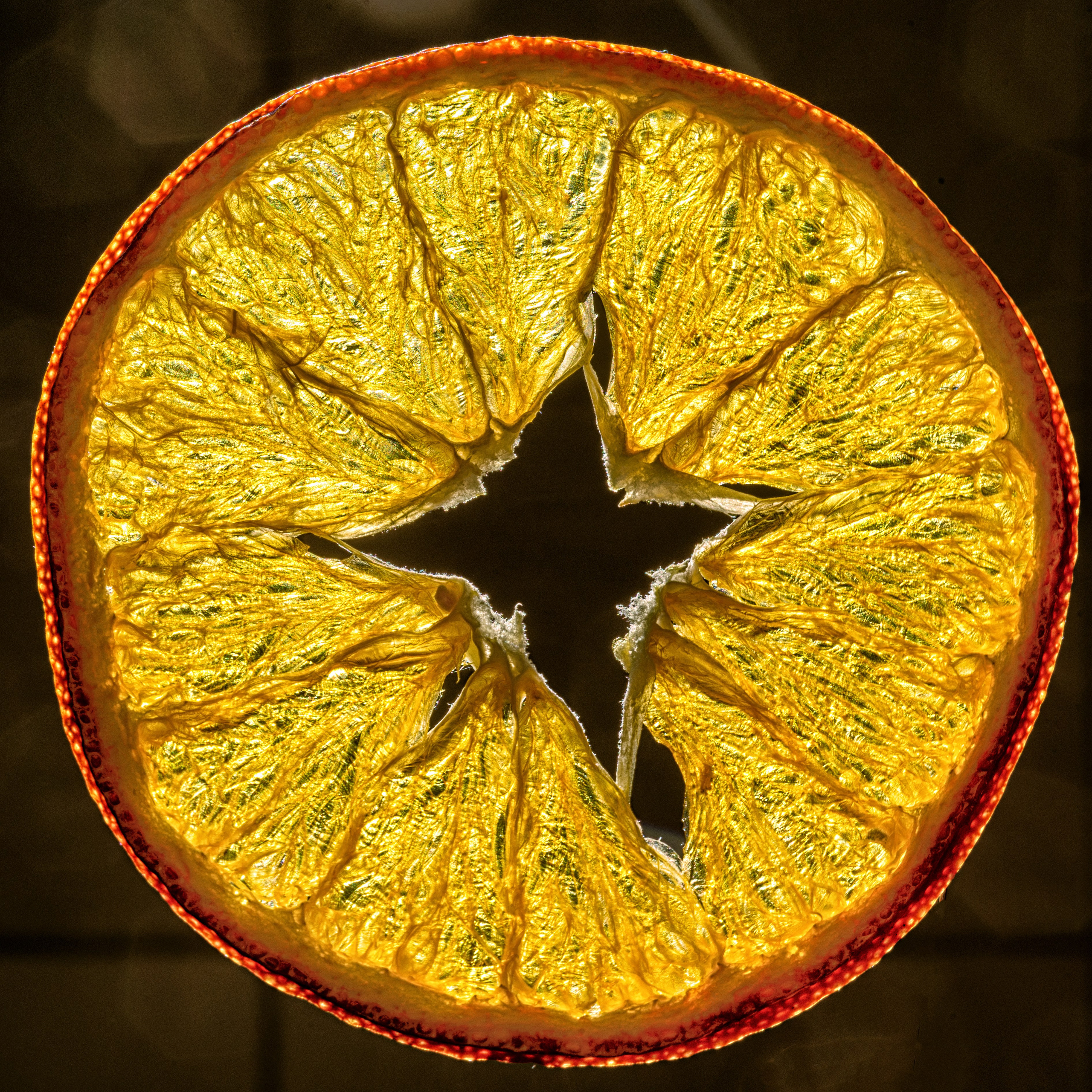 Сушеный желтый апельсин