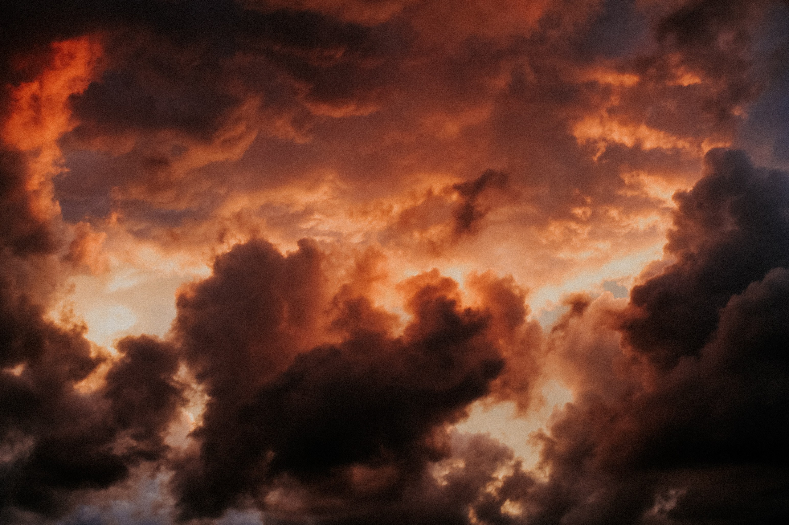 Писатель и человек поддержки Вика Ли