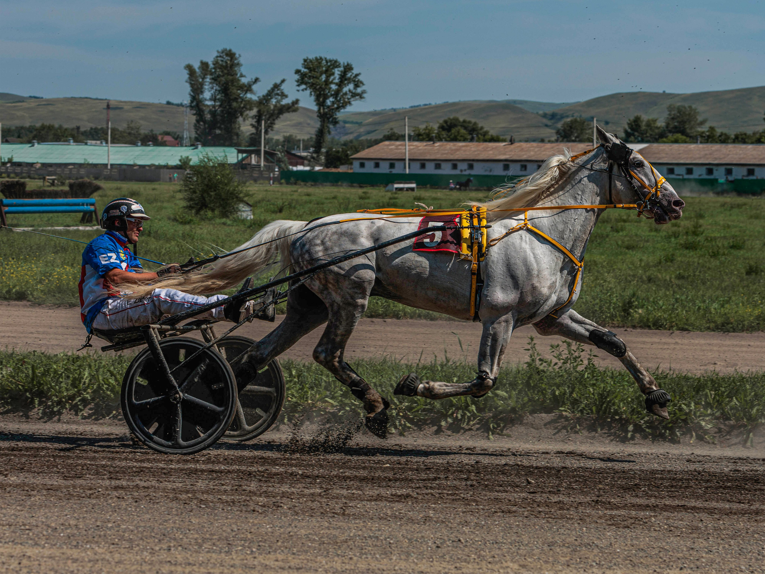 Зарисовки Абаканский ипподром 2025. Конный фотограф в Красноярске — Любовь Похабова