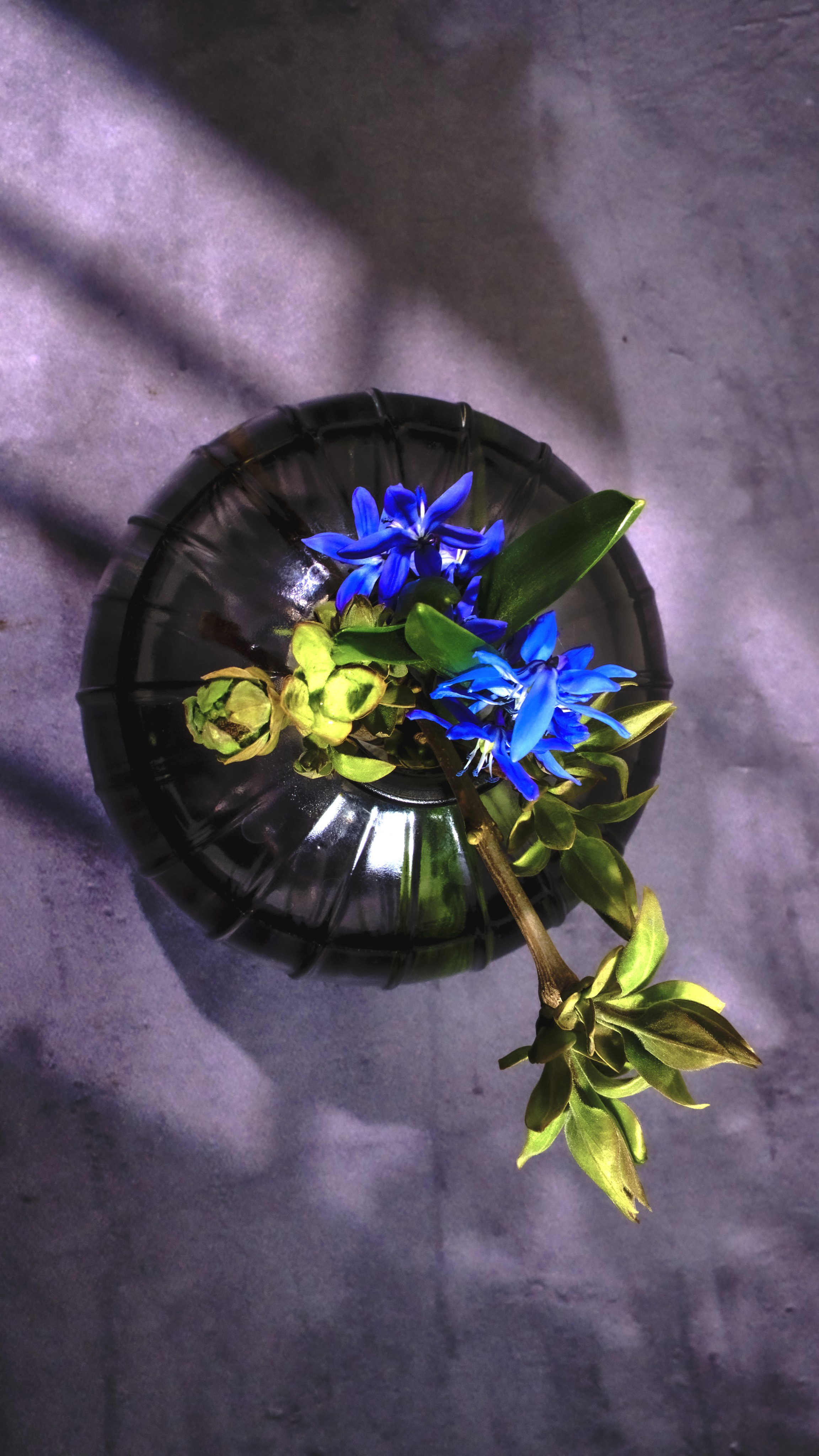 Я  фотограф. Работаю в городе Москва,