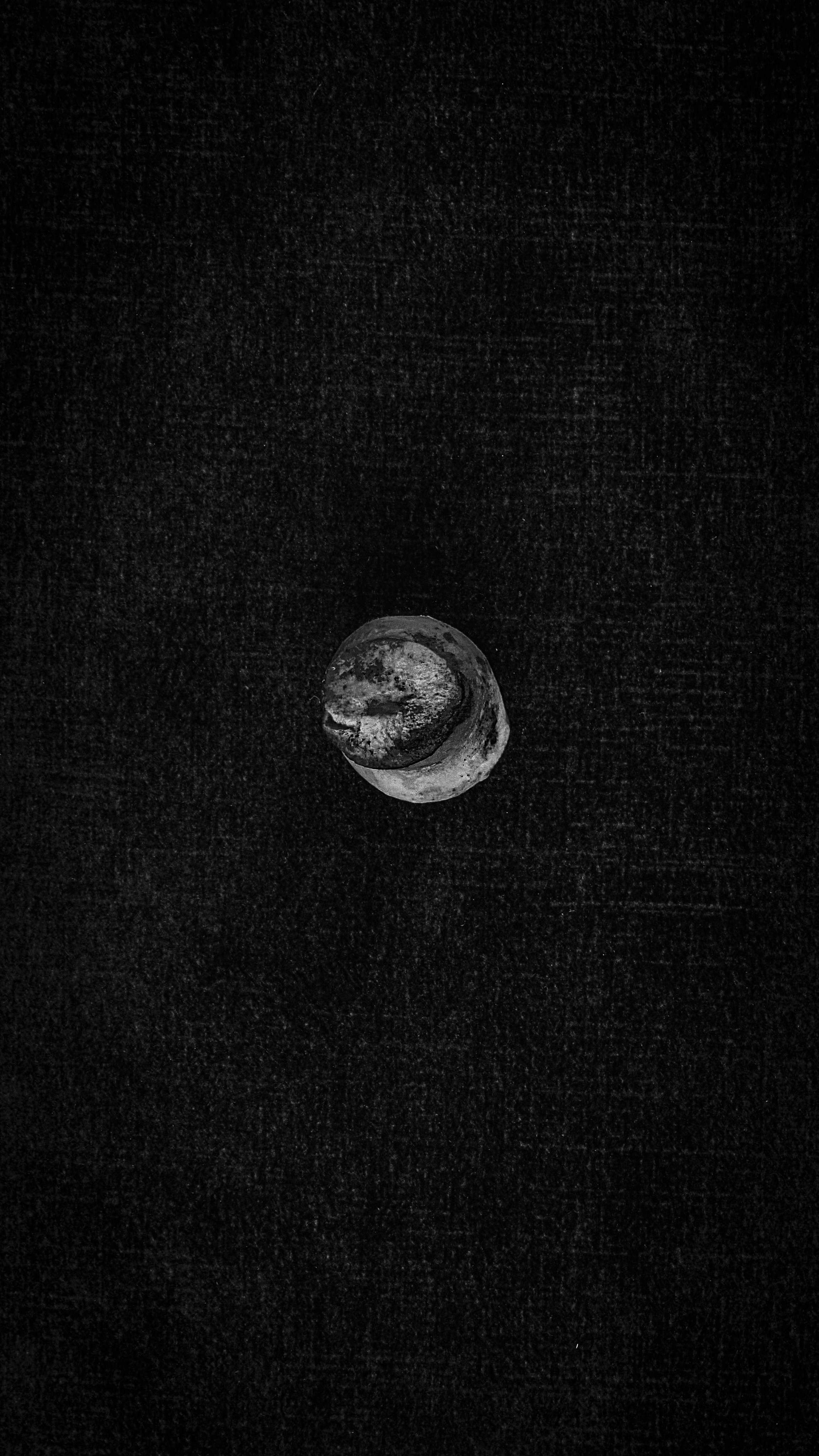 ГРИБЫ. Я  фотограф. Работаю в городе Москва,