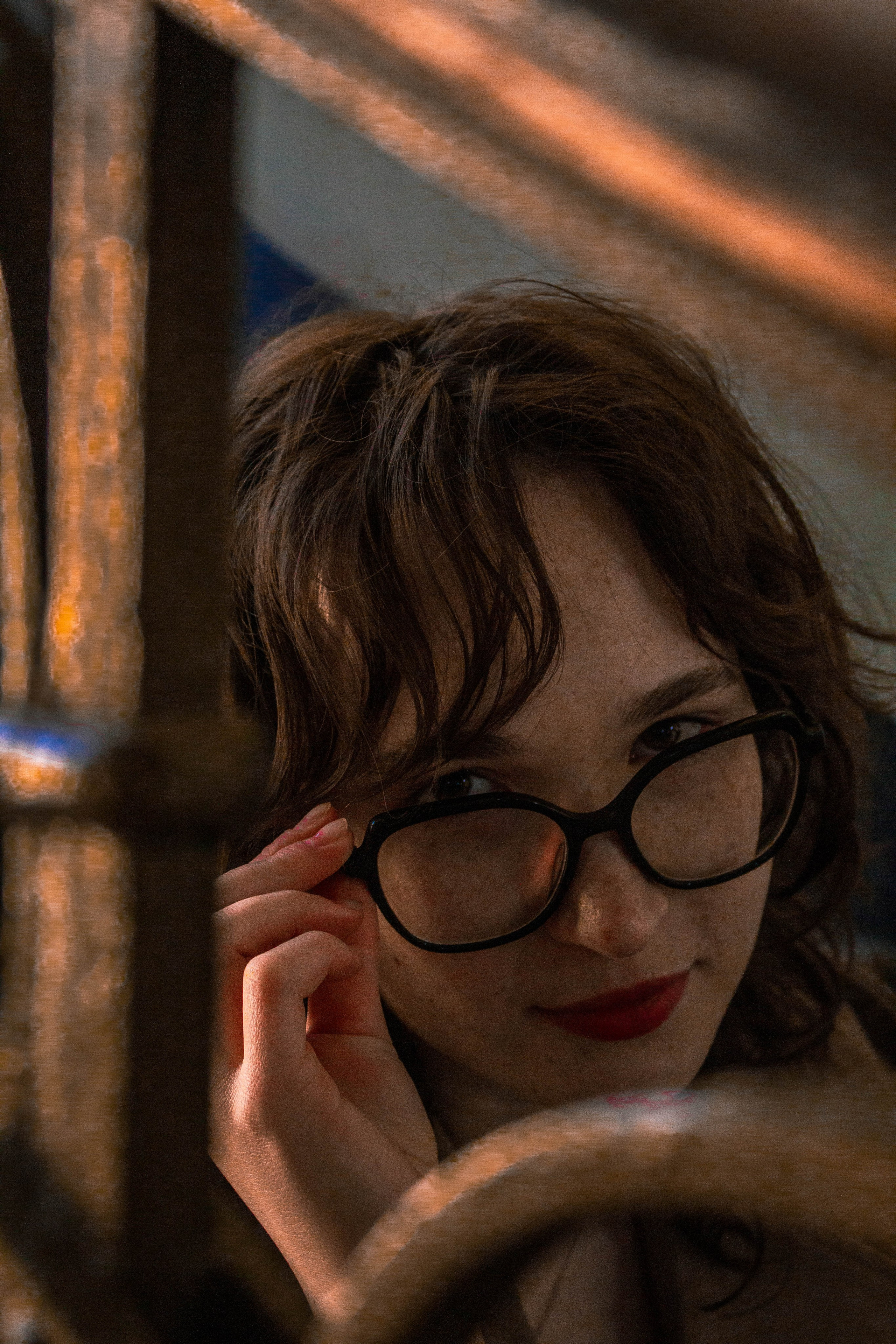 Лизэ. Карпогоры, Санкт-Петербург