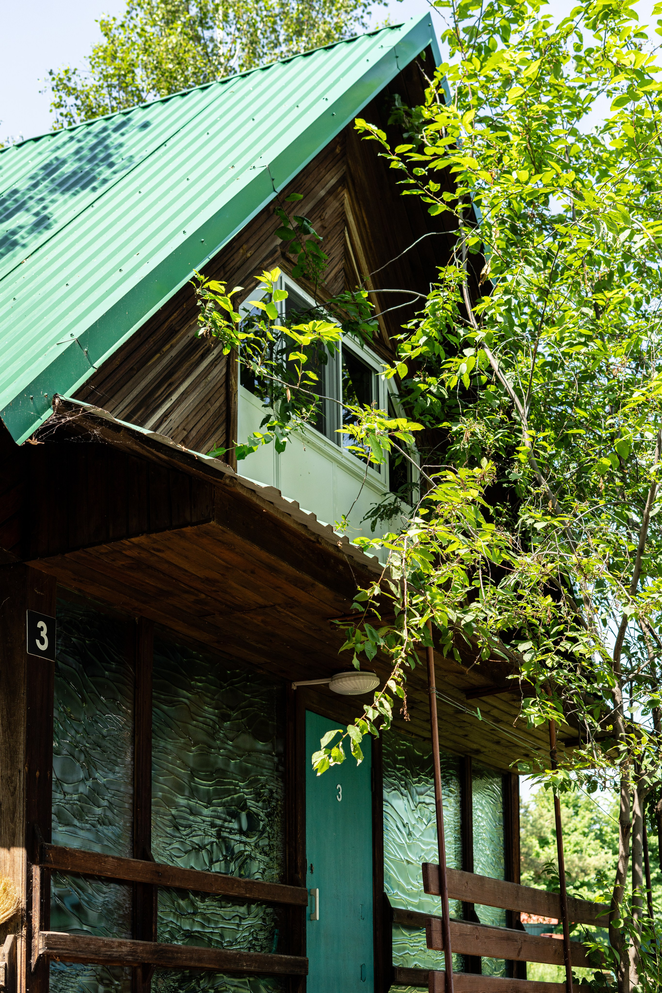 Полянка. Анастасия Паршукова — фотограф Шерегеш Новосибирск