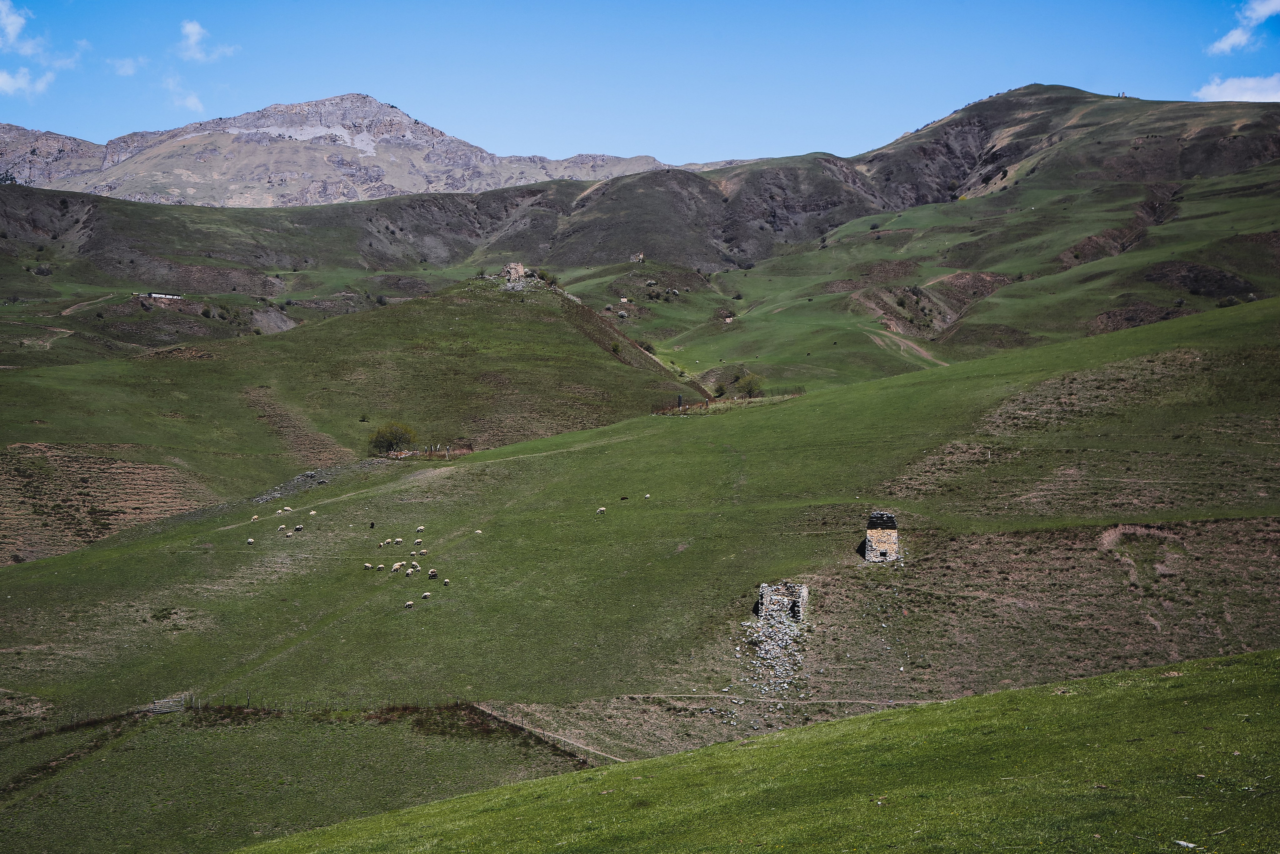 Кавказ: Ингушетия — страна башен. Дарья Письменюк / Darya Leitstern — фотограф, музыкант, журналист, путешественник