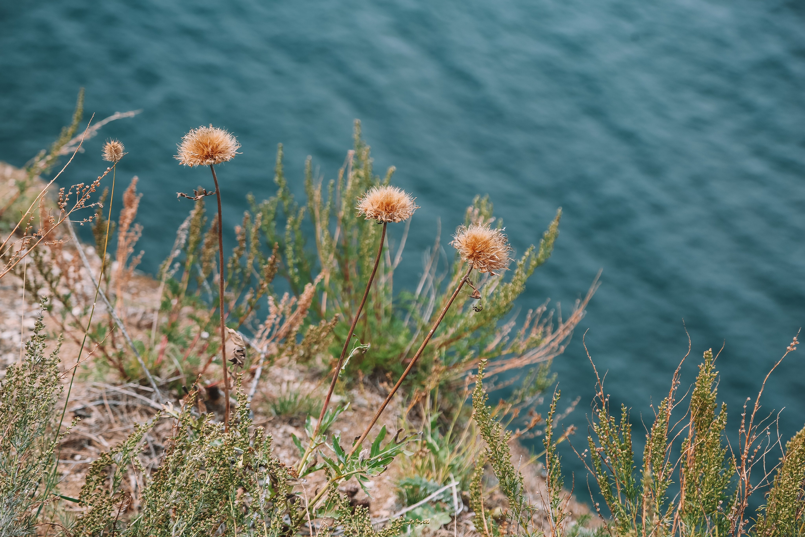 Байкал летний: легенды и святыни. Дарья Письменюк / Darya Leitstern — фотограф, музыкант, журналист, путешественник