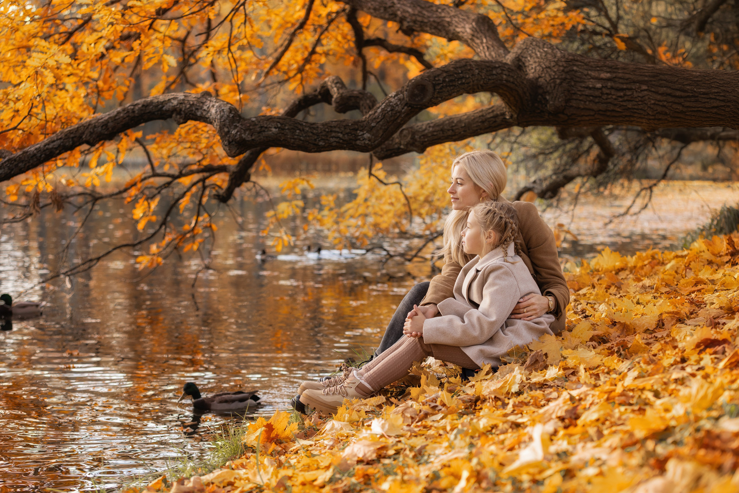 Осень. Фотограф Алена Звездина