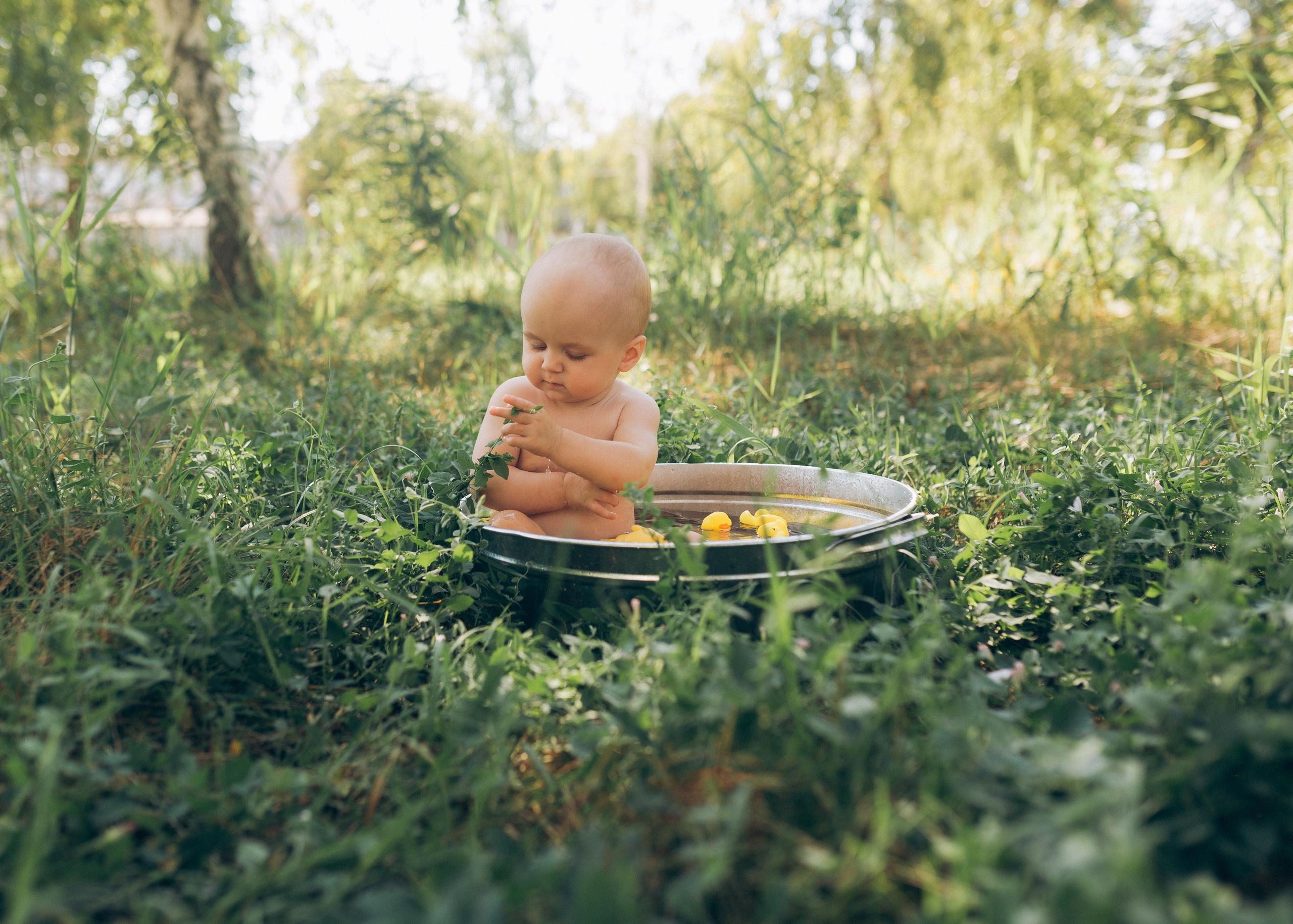 Девочки в березовой роще. Фотограф в Приморско-Ахтарске Марьяна Чопко