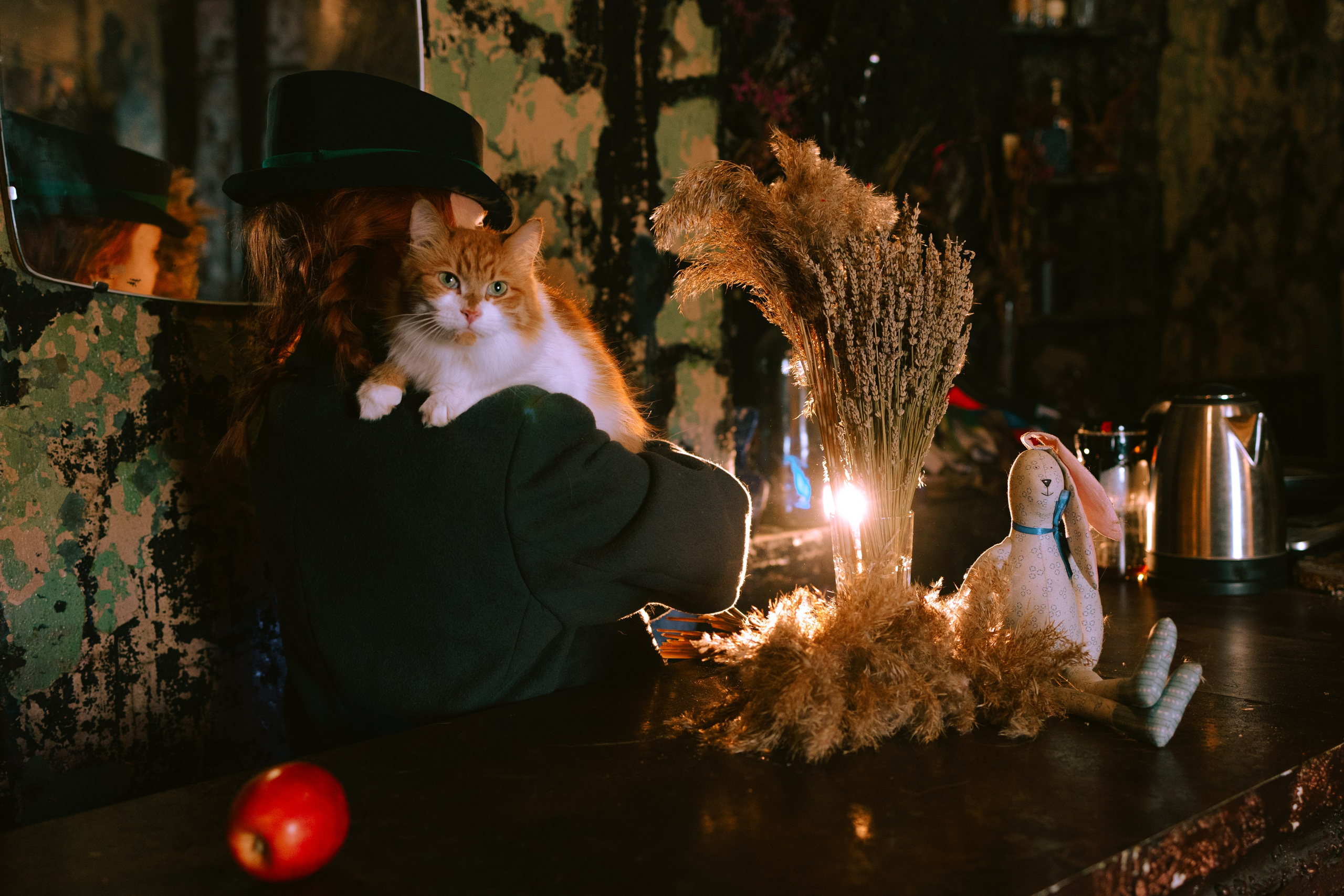 Съёмка домашних животных