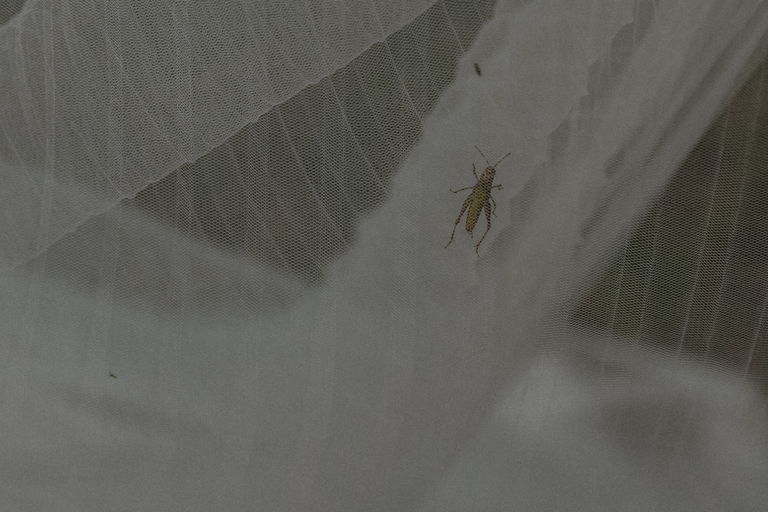 Wedding day Артем и Яна. Свадебный фотограф Колесников Антон