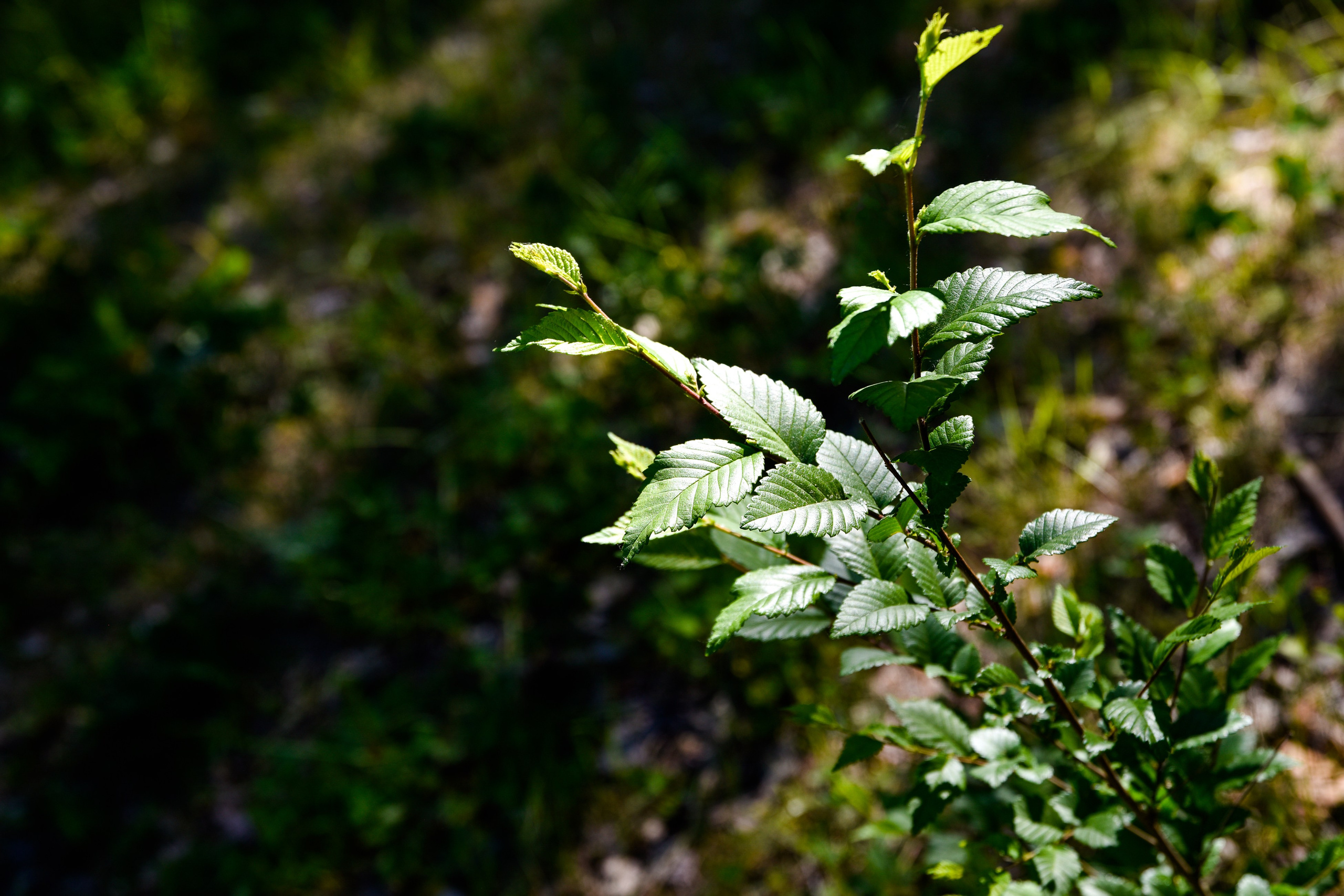 Рекламный тур по Святыням Самарского края 2 день