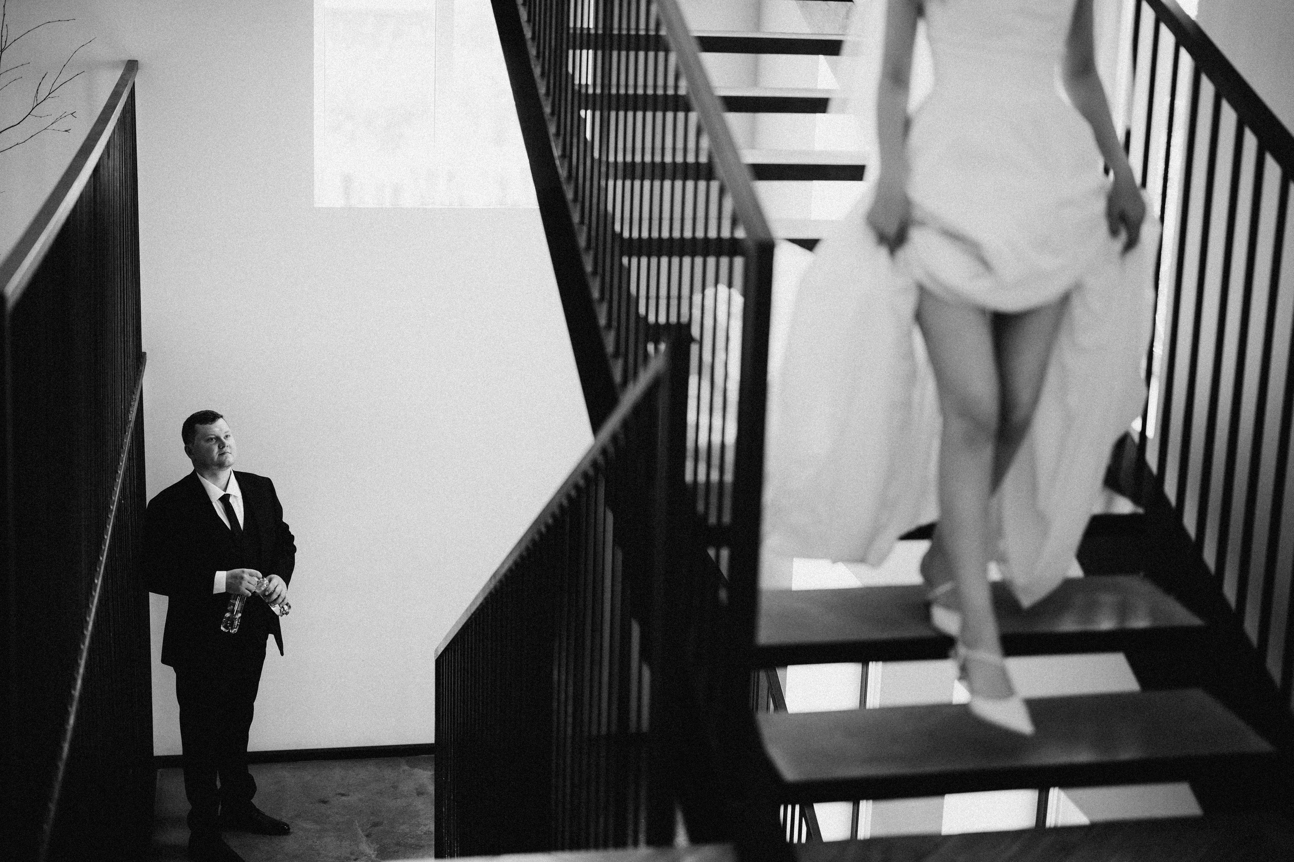 Dandelions. Daria Chigintseva Photographer