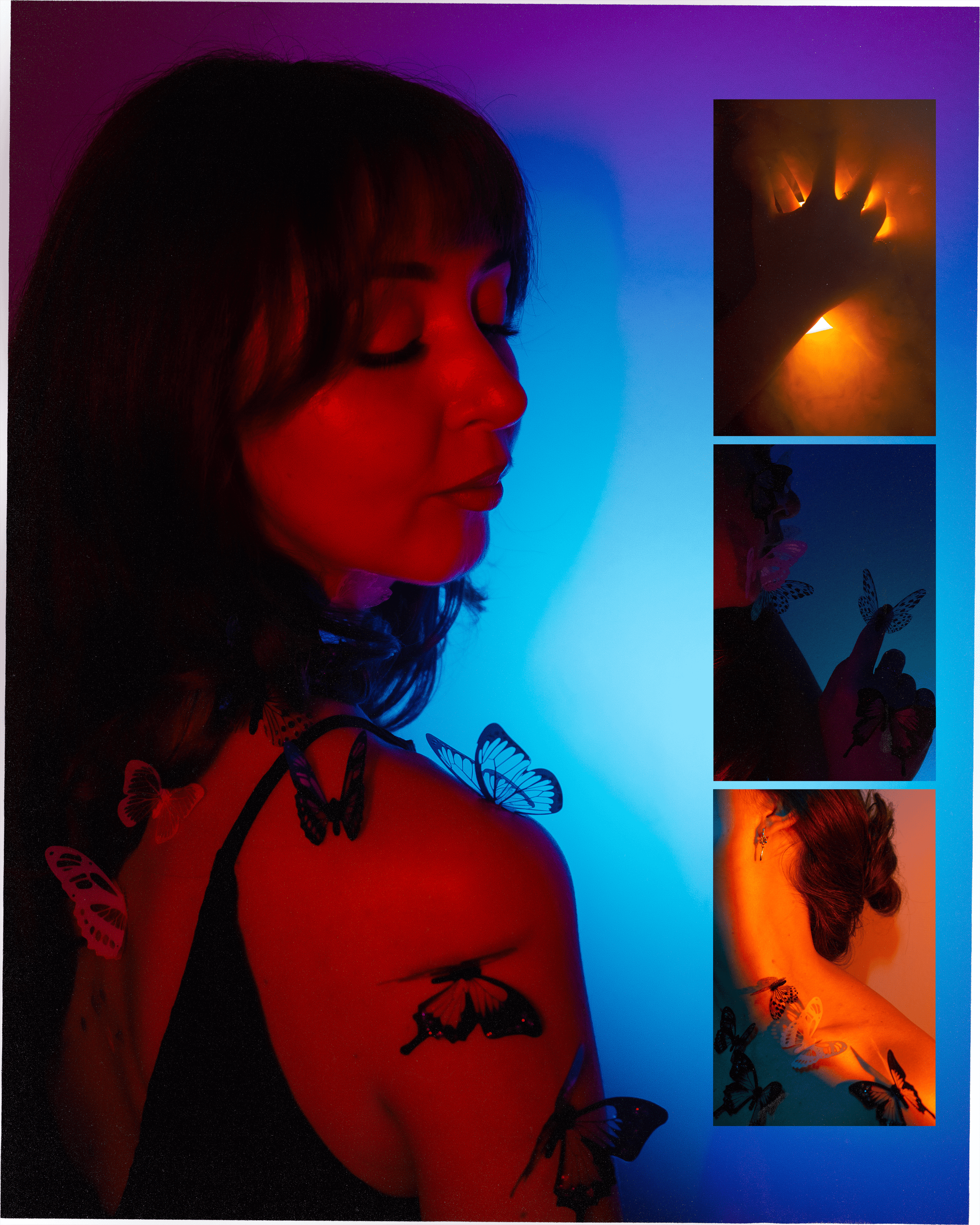 Бабочки. Фотограф Алиса Аспер